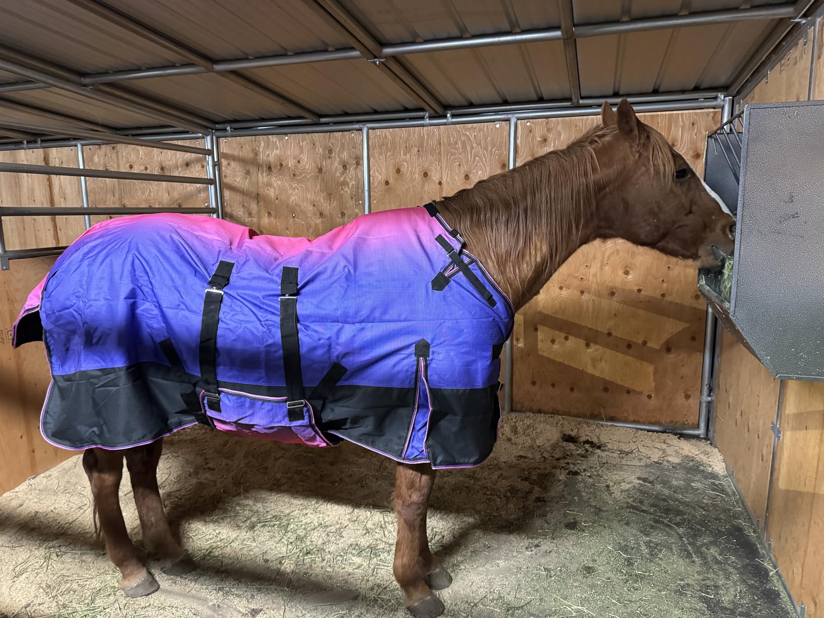 Challenger 1200D Turnout Waterproof Rain Horse Sheet Light Winter Blanket 393B customer photo 1