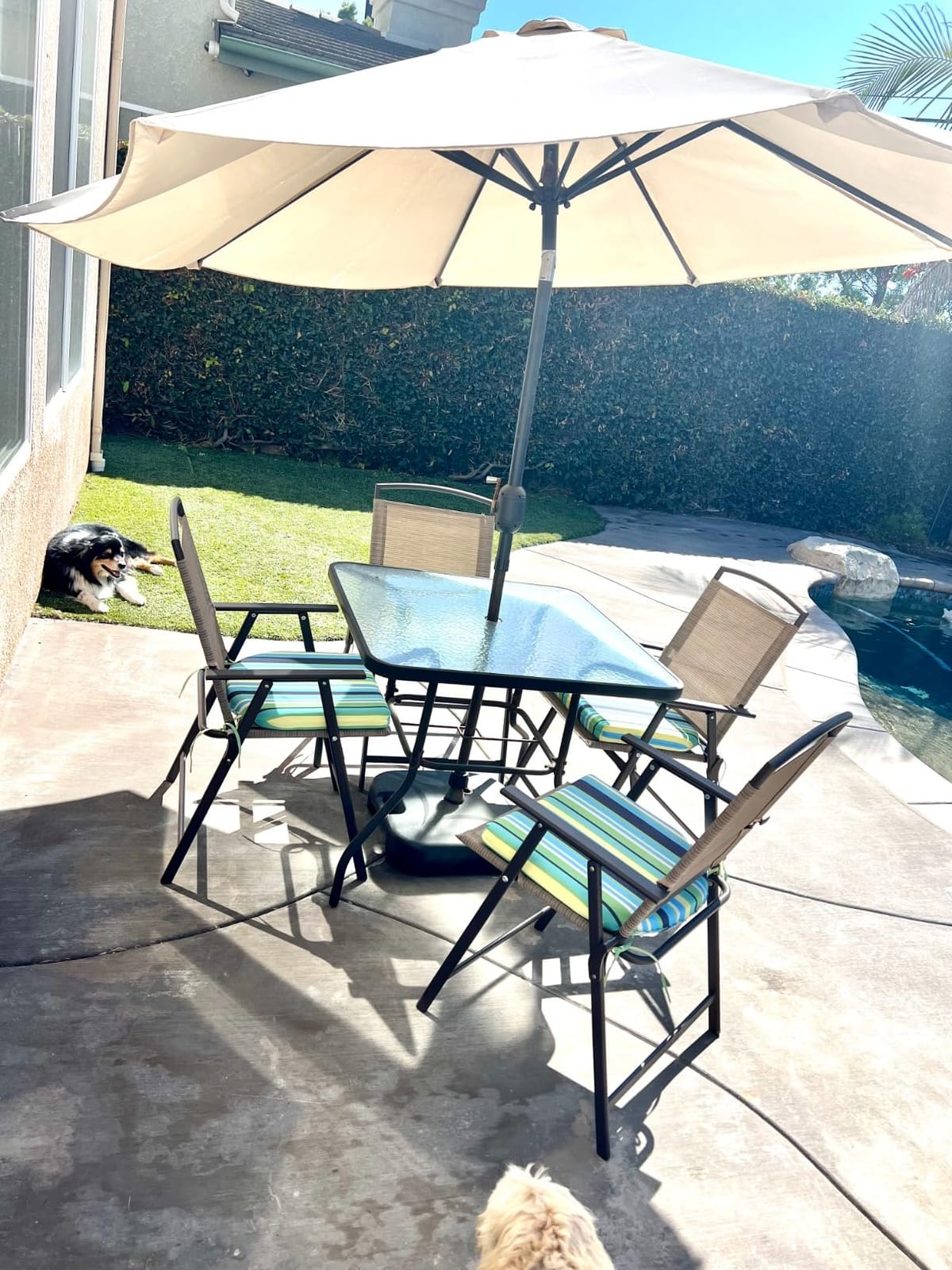 Crestlive Products Folding Patio Chairs Set of 4, Foldable Outdoor Chair customer photo 1