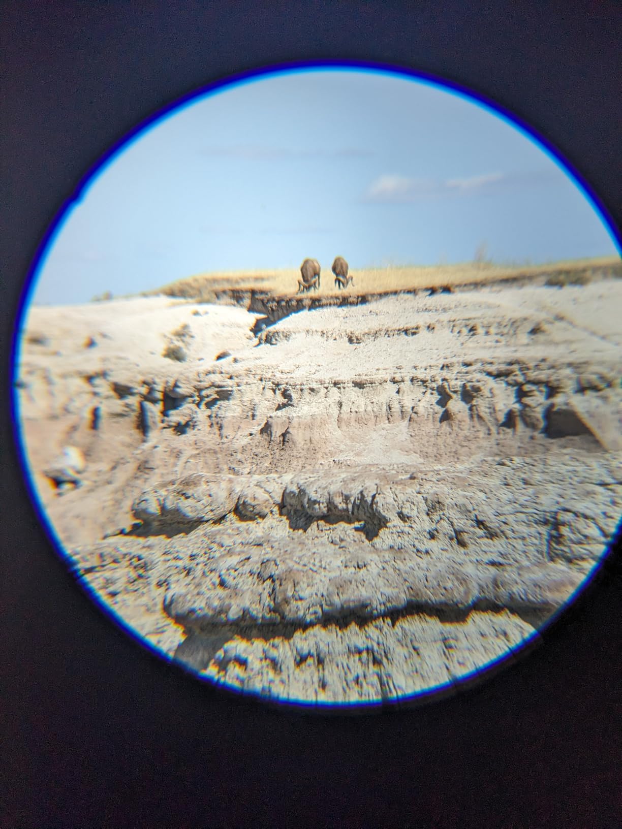 80x100 Monocular Telescope for Smartphones - High Powered HD Monocular with Tripod & Adapter, Low Light Vision for Adults - for Wildlife, Bird Watching, Hunting, Hiking customer photo 2