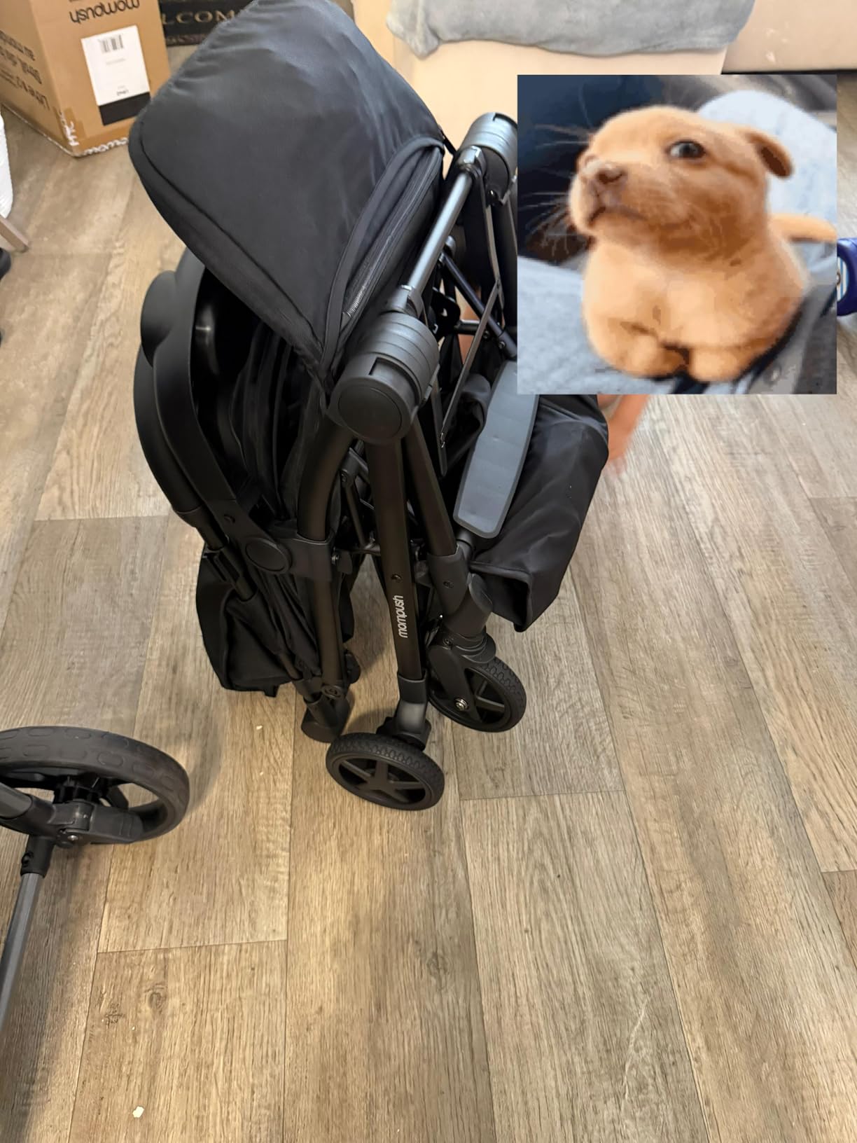 Mompush Lithe V2 Lightweight Travel Stroller Snack Tray Included, Forest customer photo 1