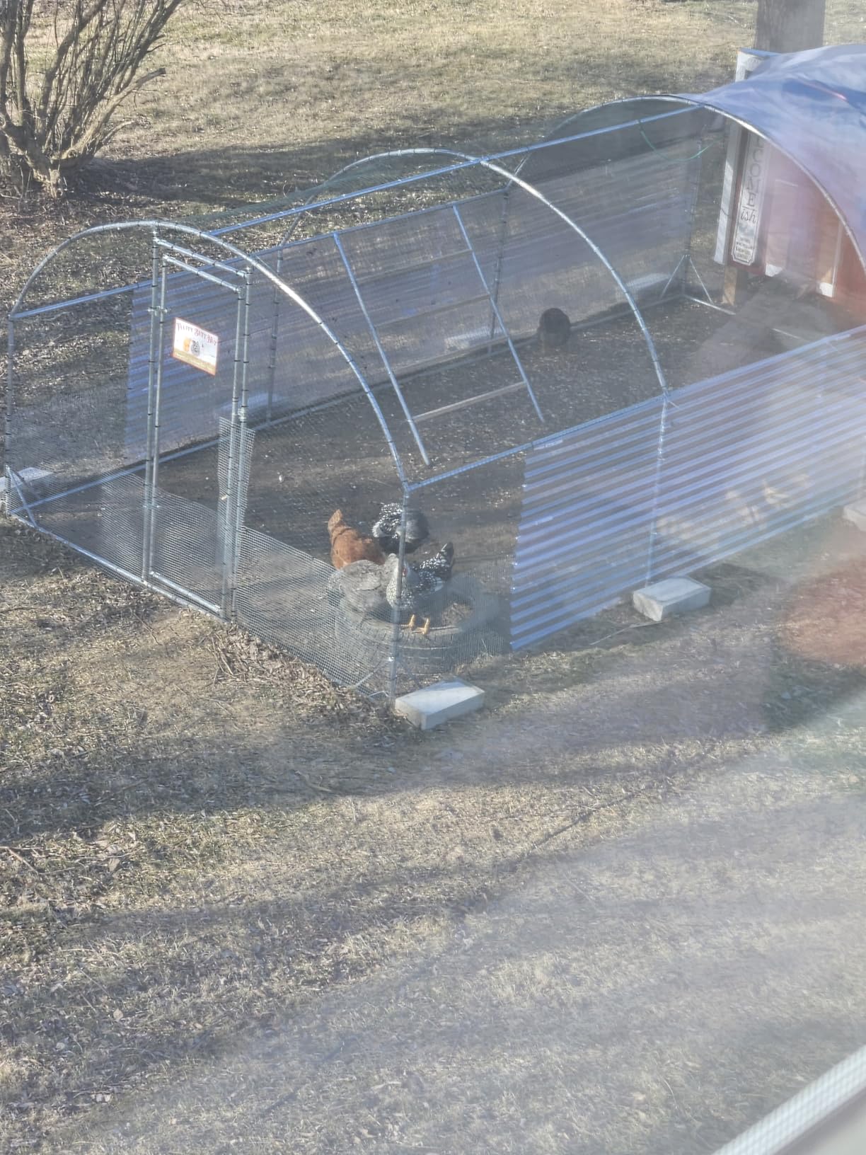 Large Metal Chicken Coop Round Top Upgrade Tri-Supporting Wire Mesh Chicken Run,Chicken Pen with Water-Resident and Anti-UV Cover,Duck Rabbit House Outdoor(19'L x 9'W x 6.5'H) customer photo 1