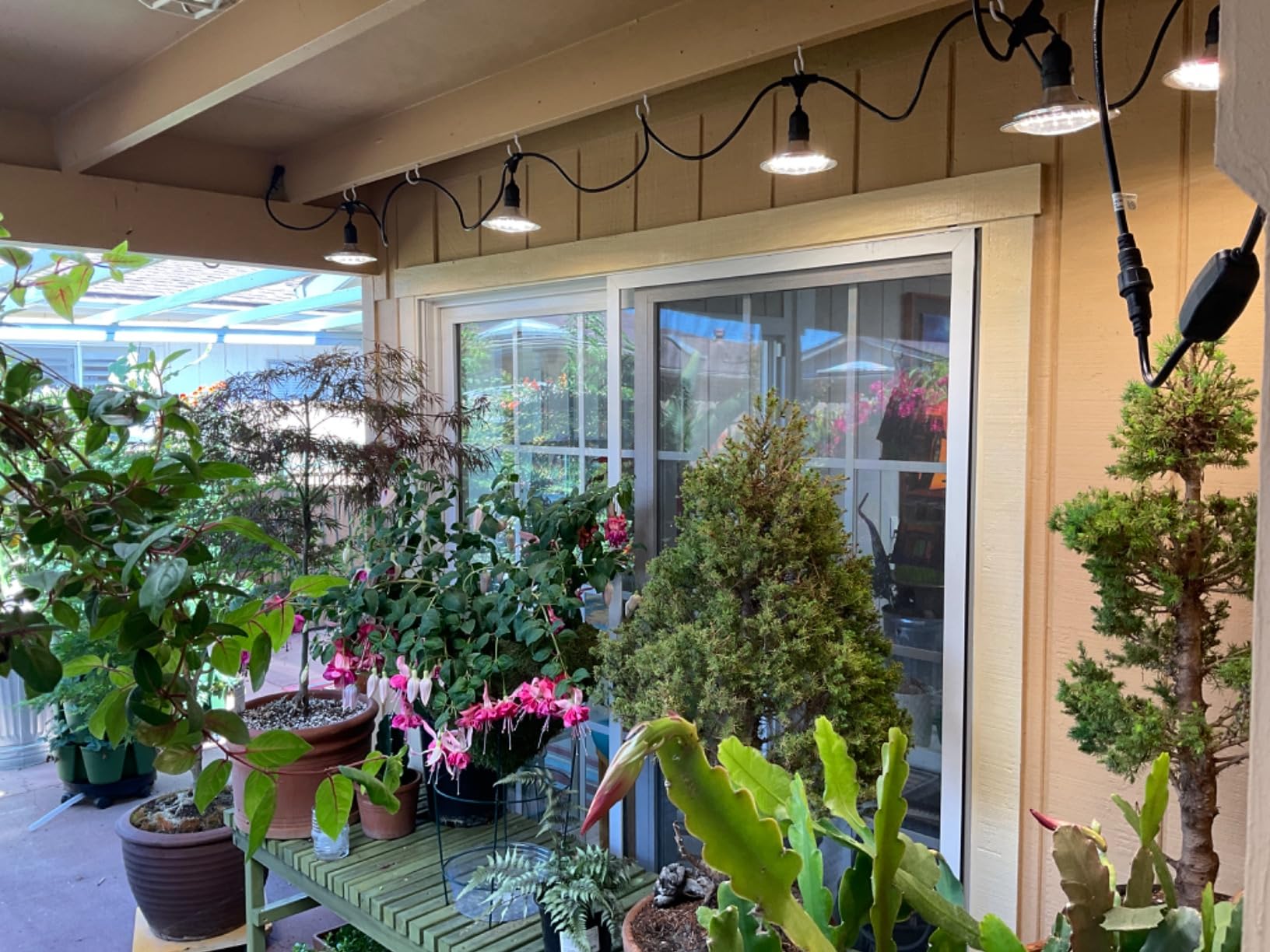Outdoor Grow Light, 6-Light Greenhouse String Grow Light, Waterproof Plant Growing Lamps, UL Certified LED Grow Lights for Greenhouse, 21.3FT Full Spectrum Light for Veg Seedling(A-6 Light) customer photo 1