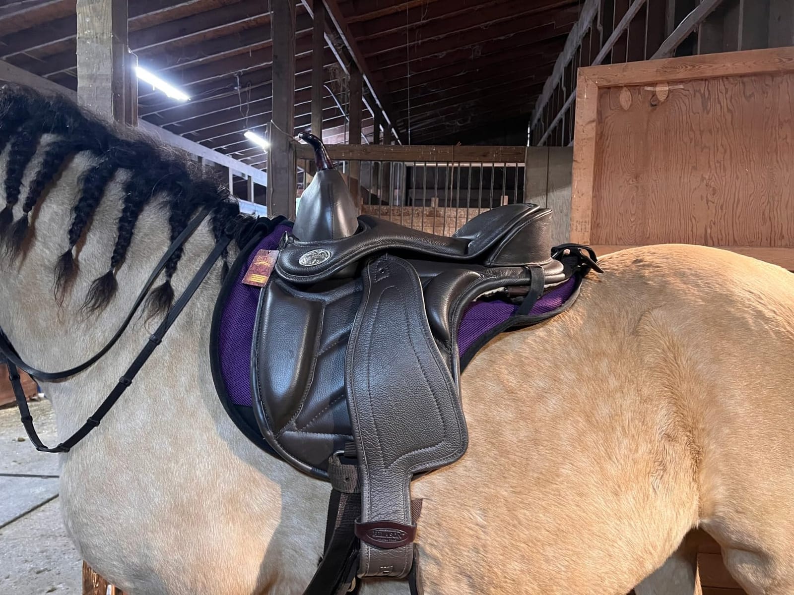 HILASON Hybrid English Treeless Saddle Brown Western Trail customer photo 2
