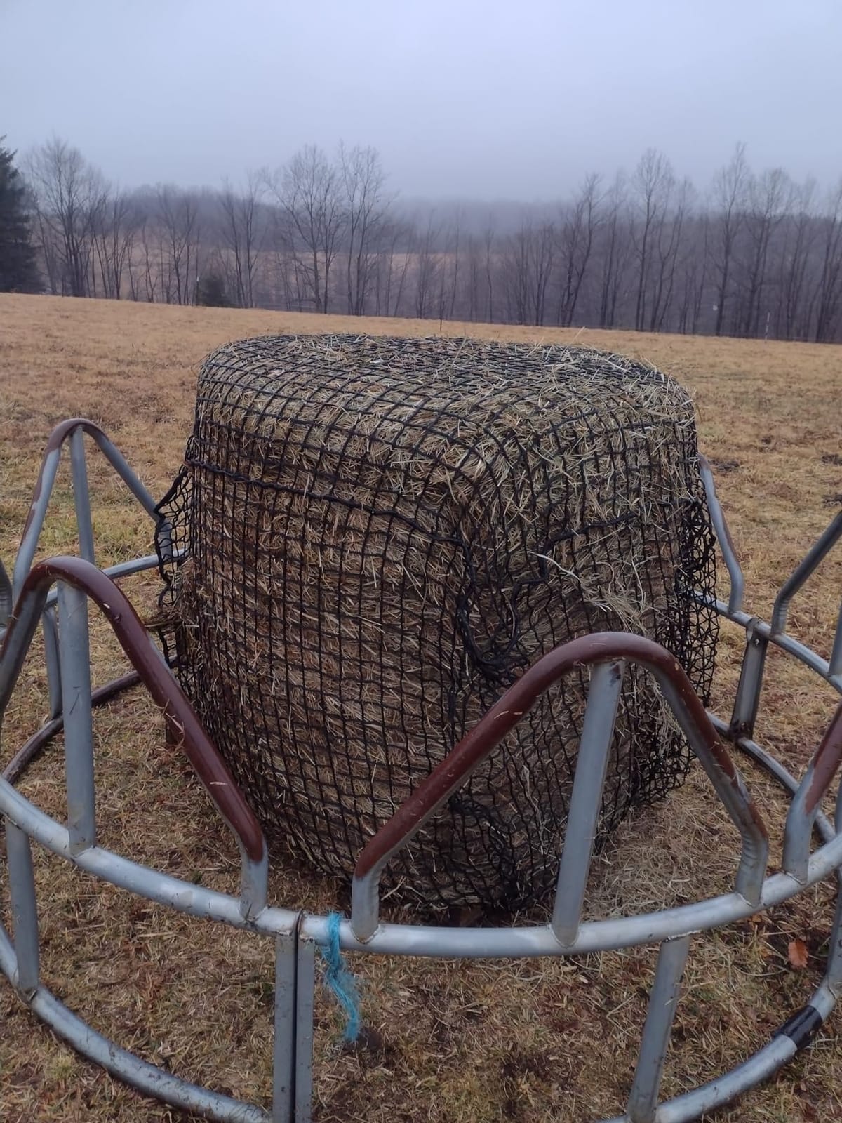 Bloomoak Large Round Bale Hay Net for Horses, 5 * 5 Feet Knotless Design Slow Feed Hay Net Feeder for Livestocks, with 1.5