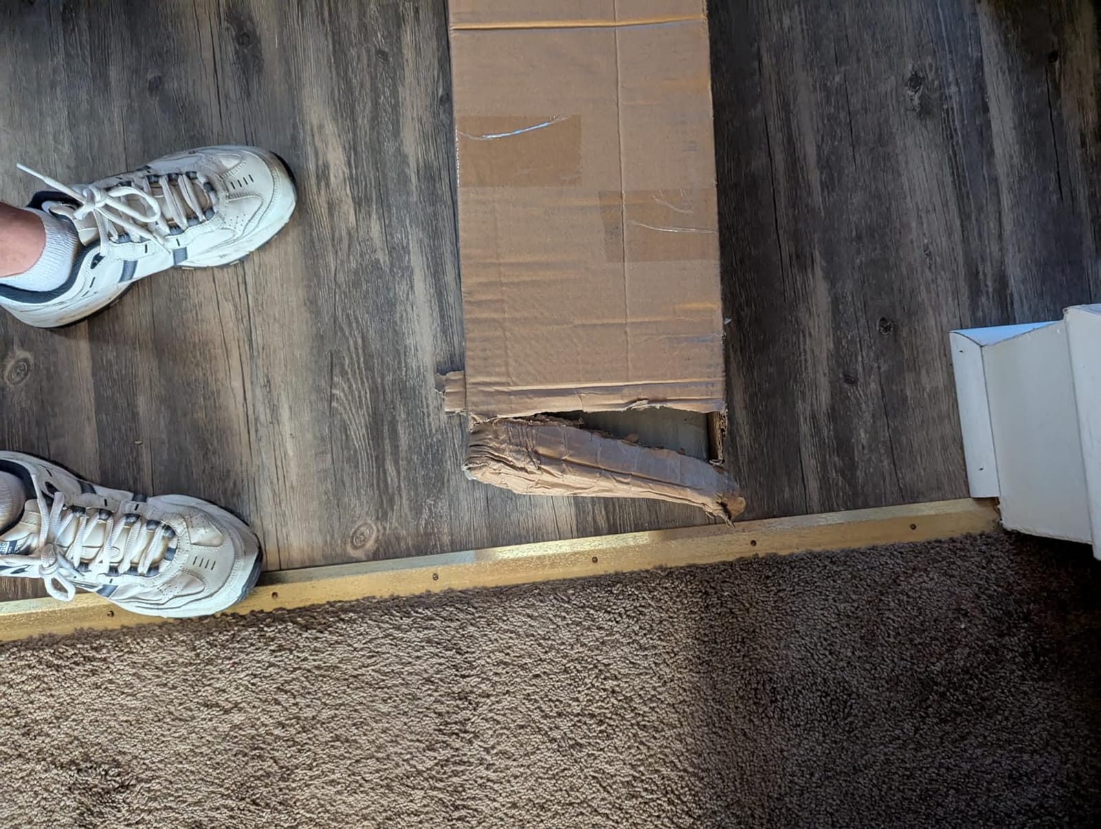 Door Threshold Ramp 3