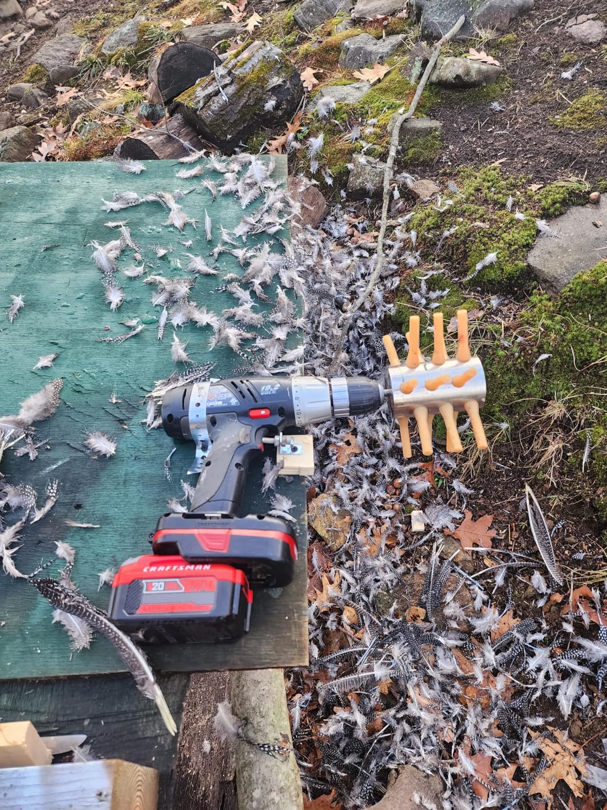 18-Finger Drill Chicken Plucker Attachment for Chicken Quail Pigeon customer photo 2