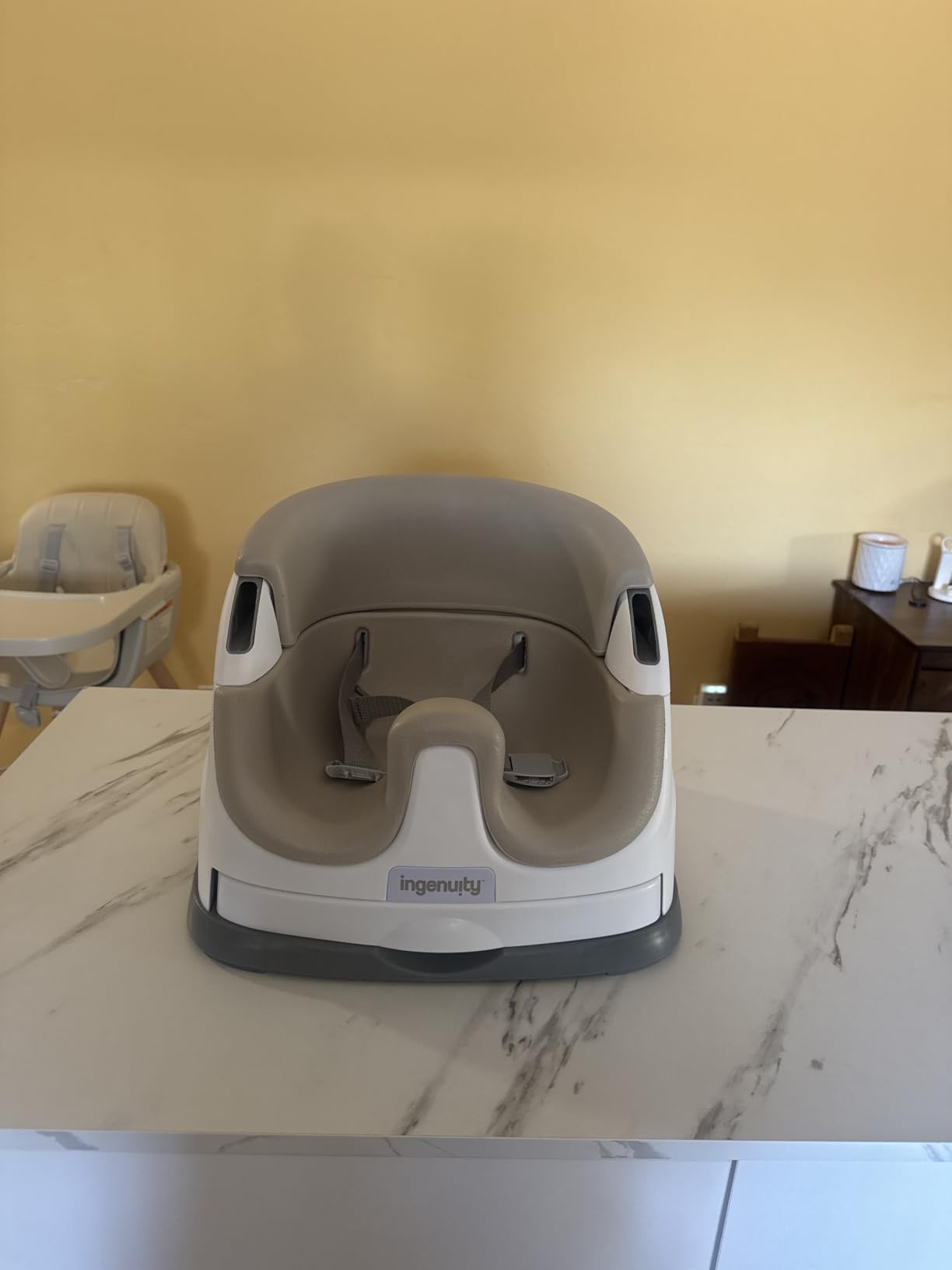 Ingenuity Baby Base 2-in-1 Booster Feeding and Floor Seat with Tray customer photo 1