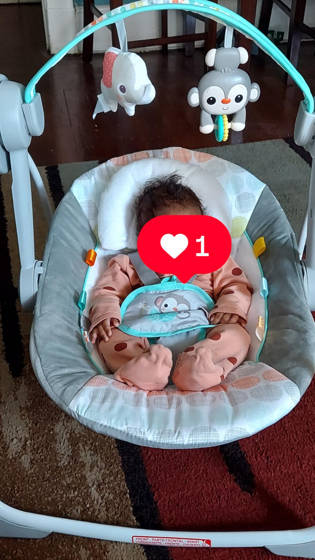 Bright Starts Portable Electric Baby Swing, Newborn to 9 Months customer photo 1