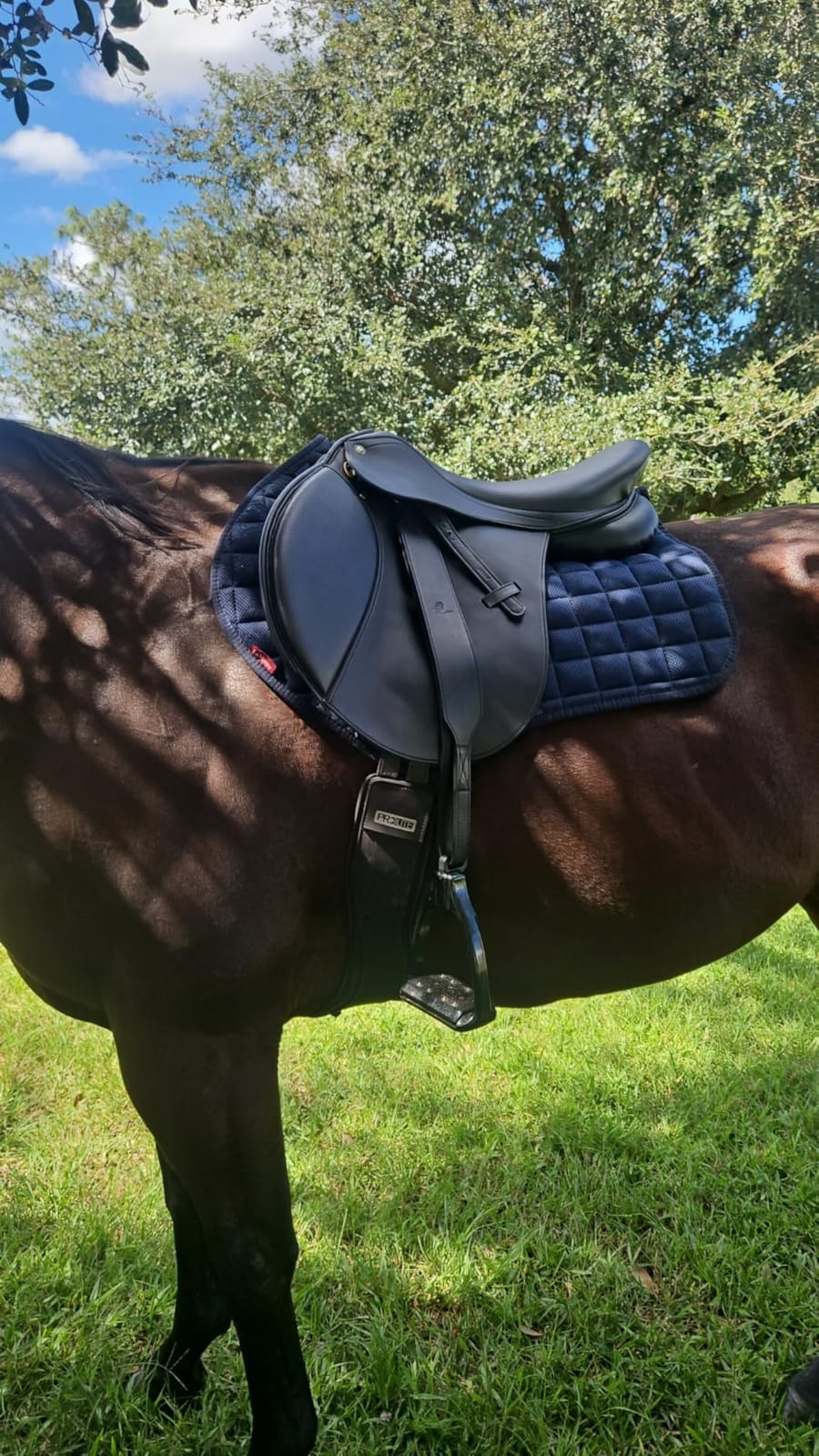 Henri de Rivel Vegan-X All Purpose IGP Saddle - Synthetic Lightweight Saddle for Equestrian Horse Riding customer photo 1