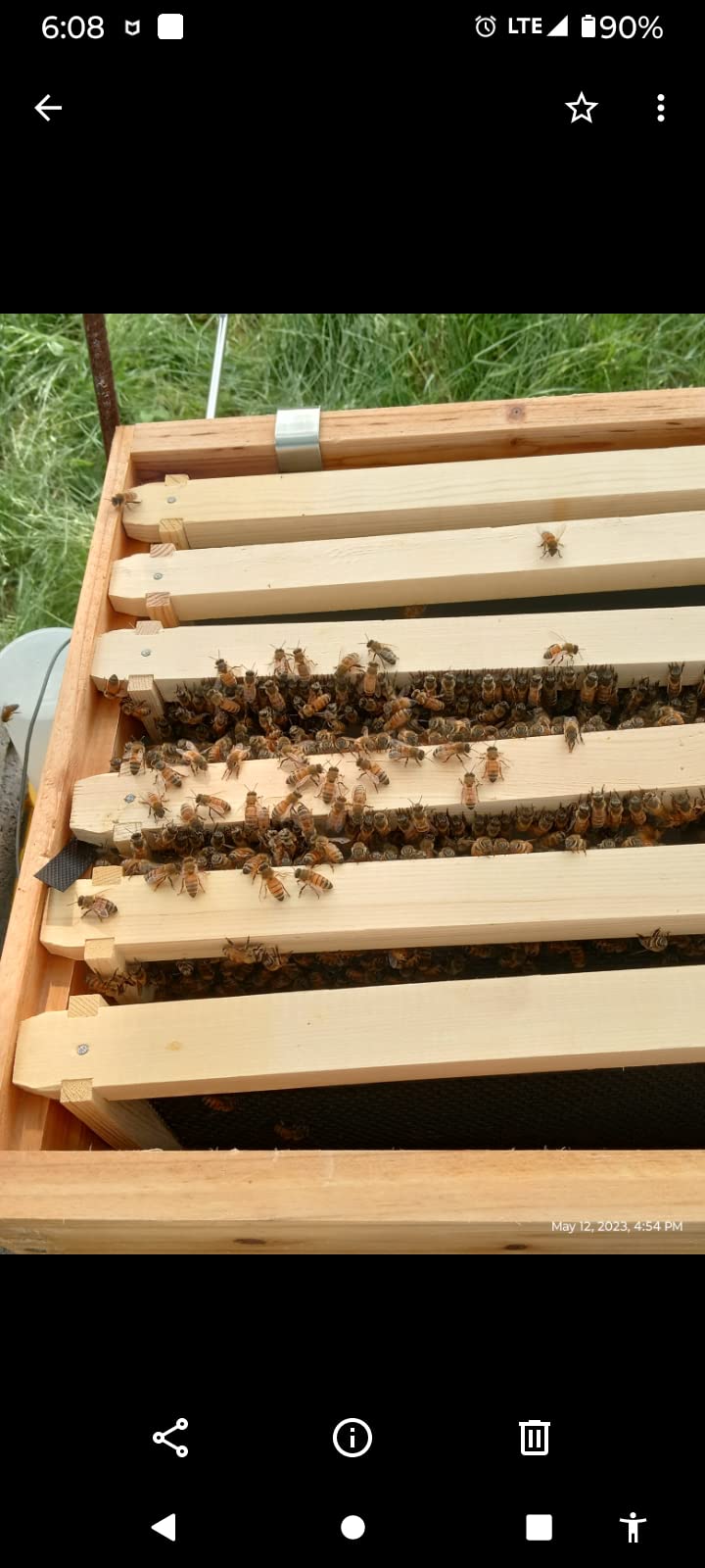 POLLIBEE 8 Frame Beehive Starter kit, Beeswax Coated Hive for Beekeeper, Langstroth Bee Hives Include 2 Deep and 1 Medium Bee Box with Bee Frames and Foundations(Unassembled) customer photo 1