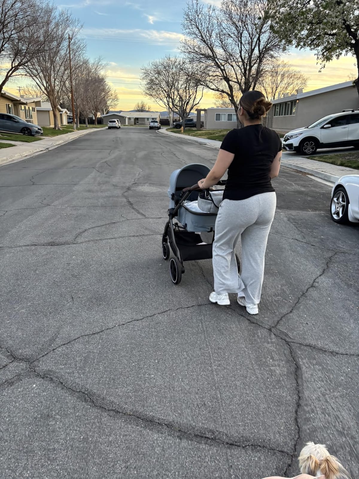 Maxi-Cosi Zelia 2 Luxe 5-in-1 Modular Travel System, New Hope Tan customer photo 1