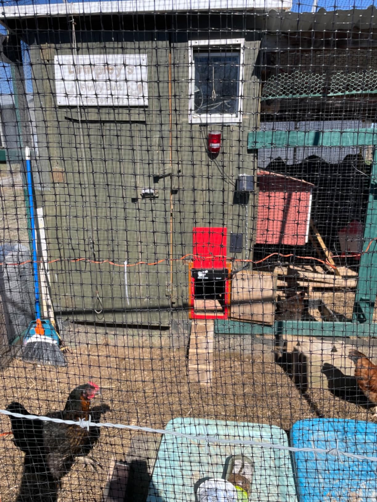 RUN-CHICKEN Door Eternal – Solar Automatic Chicken Coop Door with Built-in Solar Power & Battery Backup, Smart App & Timer Control, Weatherproof Aluminum, Predator-Proof, Easy to Install (Red) customer photo 1