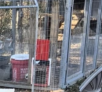RUN-CHICKEN Door Eternal – Solar Automatic Chicken Coop Door with Built-in Solar Power & Battery Backup, Smart App & Timer Control, Weatherproof Aluminum, Predator-Proof, Easy to Install (Red) customer photo 2