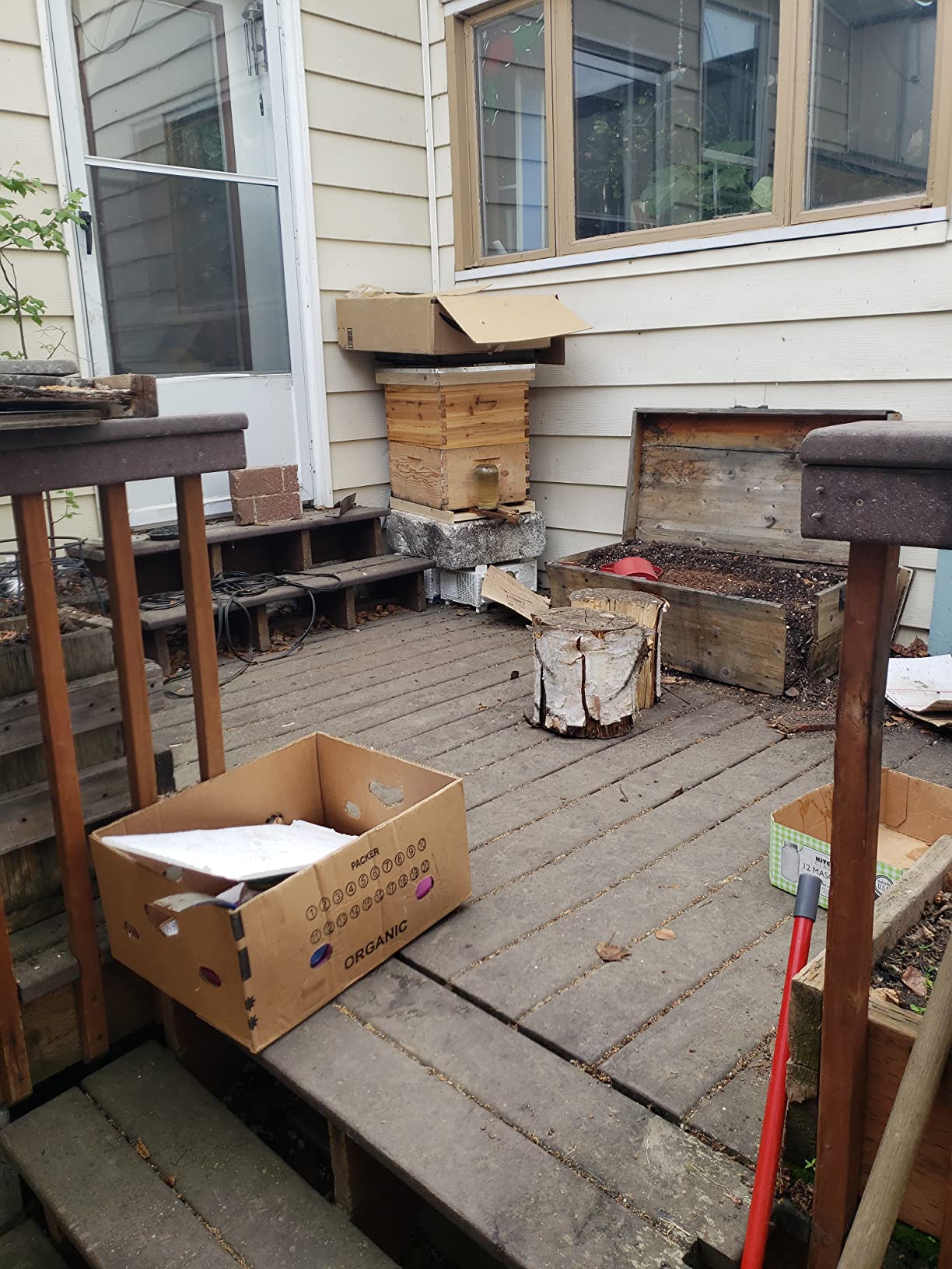 Honey Lake 10-Frame Langstroth Beehive Starter Kit, Beeswax Coated Complete Bee Hive Includes 2 Deep Brood Boxes & 2 Medium Super Bee Boxes with Beehive Frames and Foundations for Beekeepers (4 Layer) customer photo 2