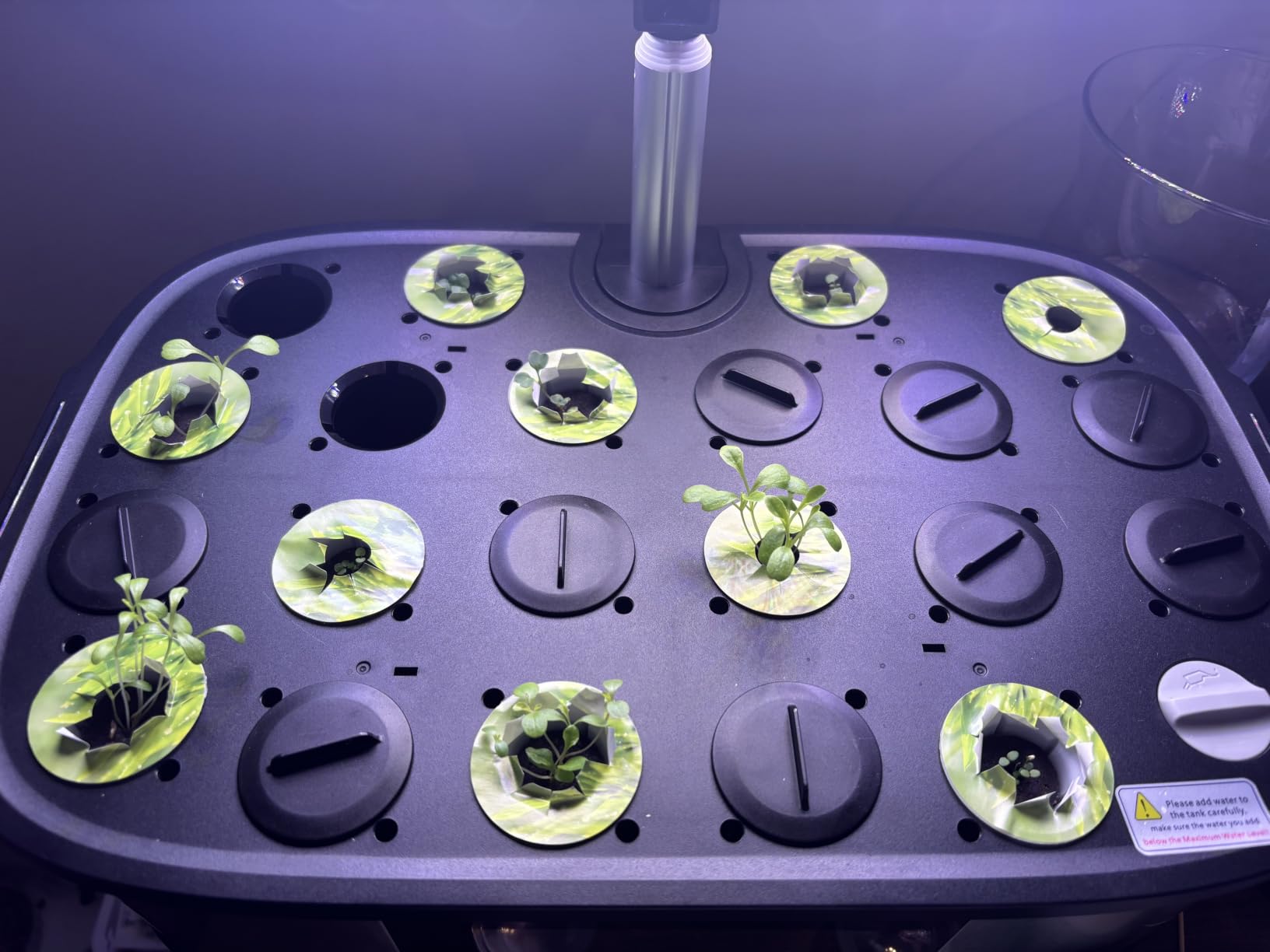 LetPot LPH-Max Hydroponics Growing System Kit, 21 Pods APP & WiFi Automatic Controlled Smart Indoor Garden with 36W LED Grow Light, Auto Drip Irrigation Kits, Self-Managed Nurturing & Watering customer photo 2