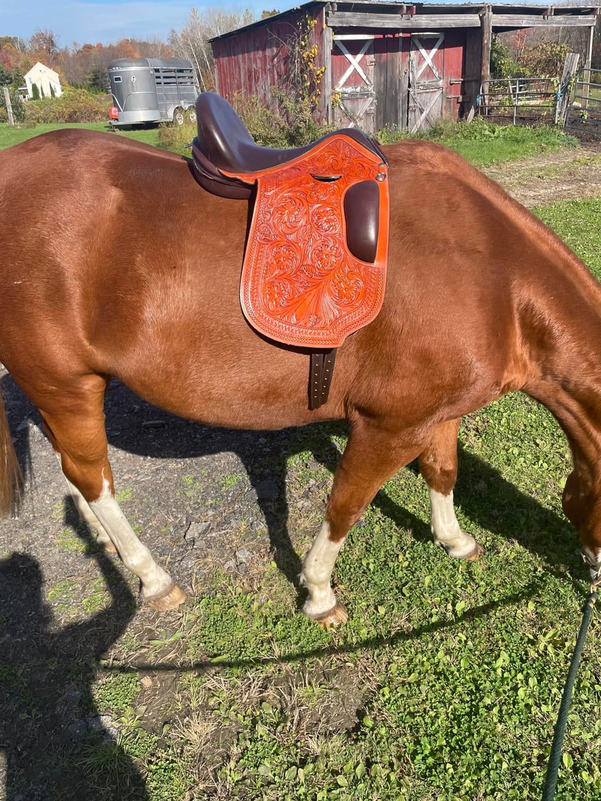 ASH us Western Leather Treeless Saddle Handcrafted with Floral Tooling New Cut Pannel Shape Designer Leather Dressage Saddle Durable Horse Riding Saddle for Trail, Show and Training customer photo 1