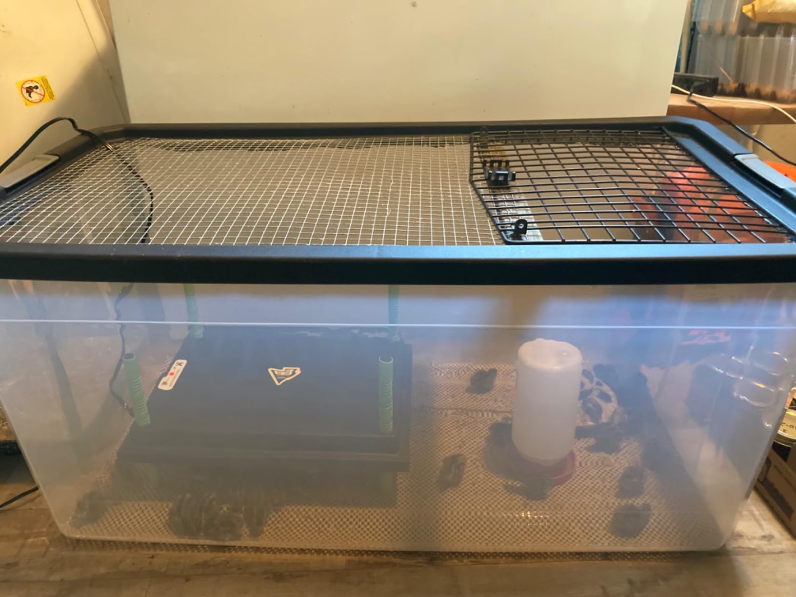 Tetuga Brooder Heat Plate 12 X 16” Chick Heating Plate Warm Up to 40 Chicks customer photo 2