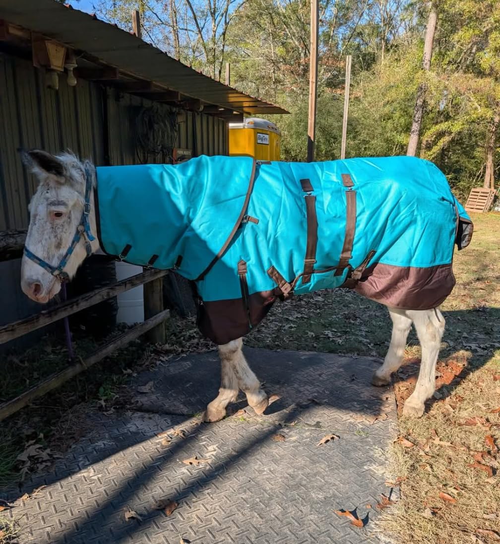 HILASON 1200D Waterproof Winter Horse Turnout Blanket Lime Black customer photo 2