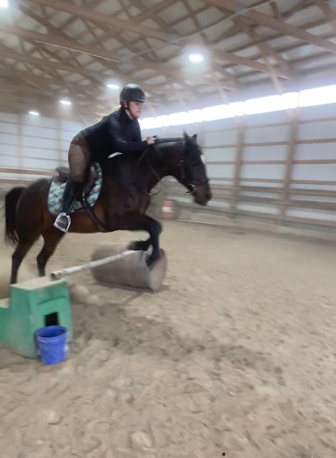 Henri de Rivel Novice Club Close Contact Saddle – Beginner Jumping Saddle with Flatter Seat, Padded Flaps & Knee Rolls customer photo 1