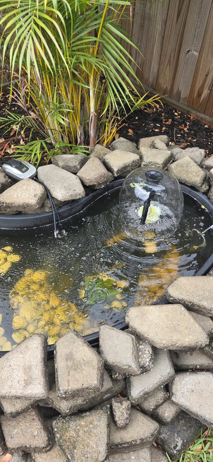 POPOSOAP Pond Filter with Pump Fountain Kits, 660GPH Pond Filter with 40W Pond Pump & Fountain Kit, Koi Pond Filters for Outdoor Ponds Clean, Clear, and Add Water Features(Corded Electric) customer photo 1