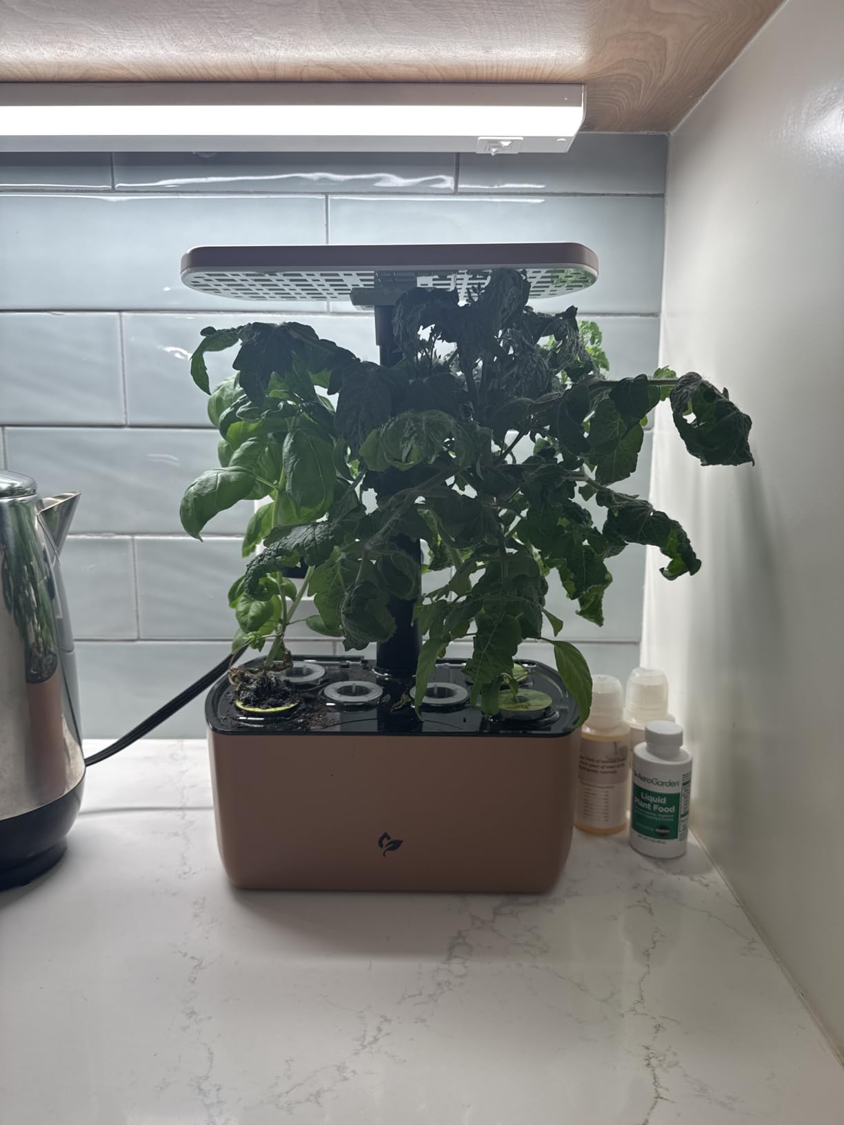 AeroGarden Harvest Lite, Black customer photo 2