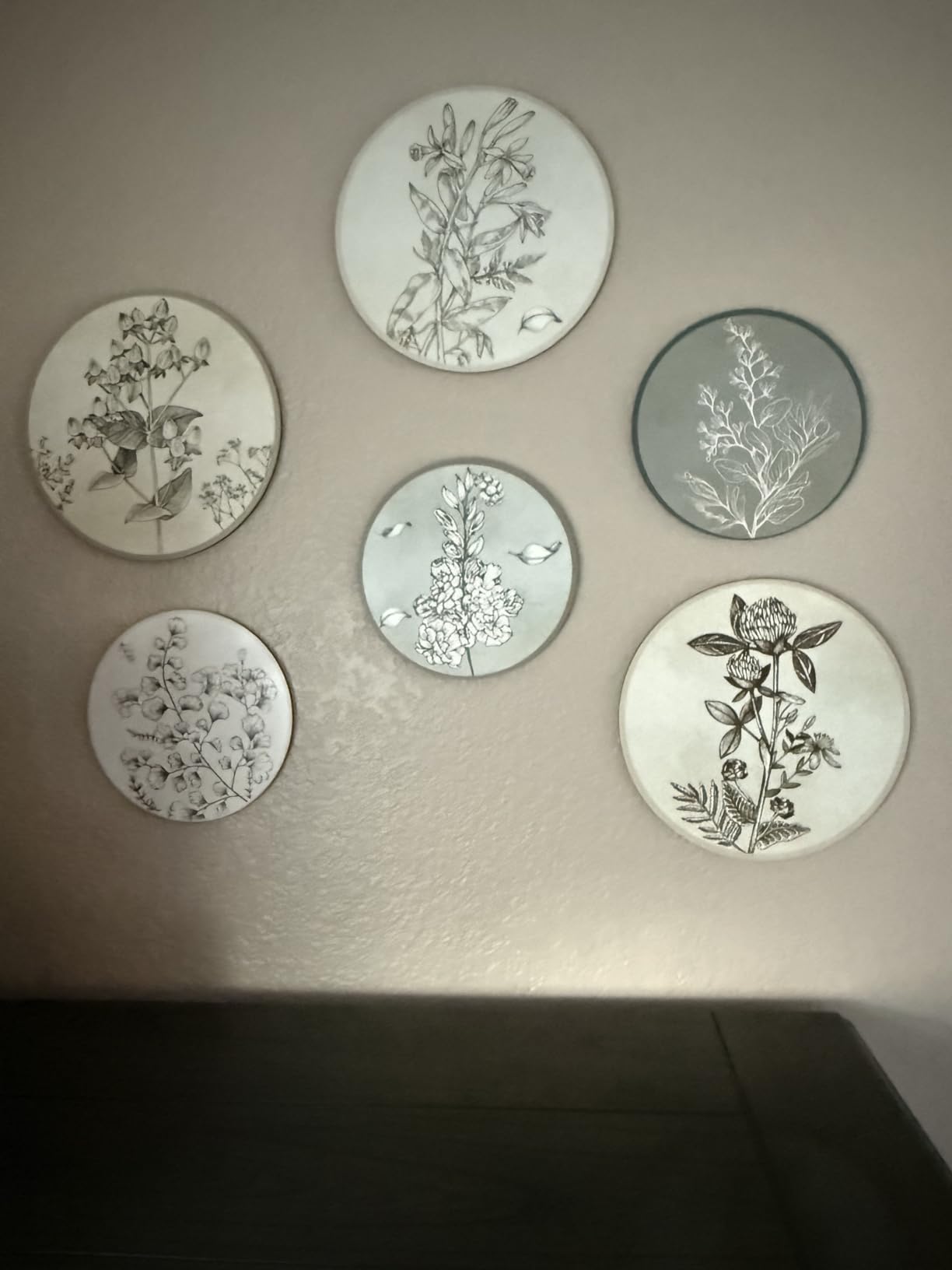 Barydat 6 Pcs Boho Wooden Plant Wall Art Decor,Retro,8 Inch, 10 Inch customer photo 1