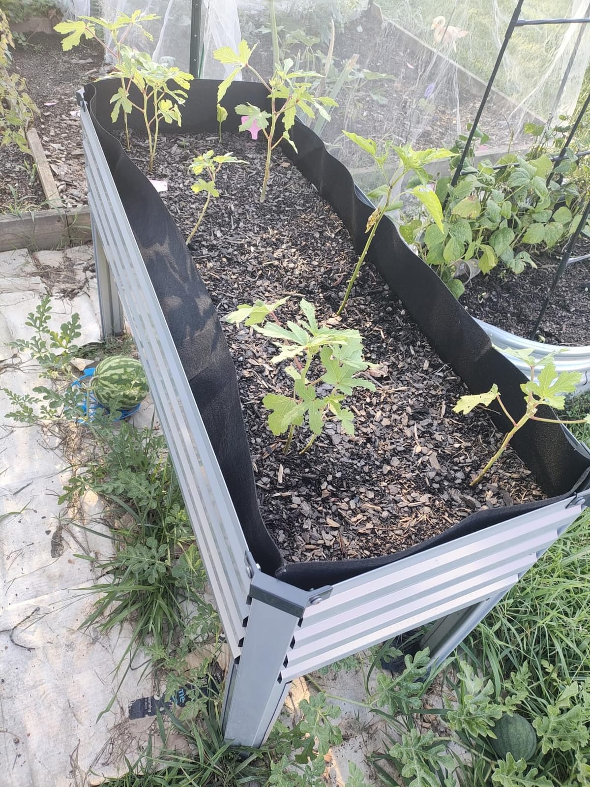 DIIYIV 2PCS Galvanized Raised Garden Bed with Legs,2PCS 48×18×30in Elevated Planter Box for Backyard,Outdoor Garden, Patio, Balcony, 300lb Capacity,Grey customer photo 2