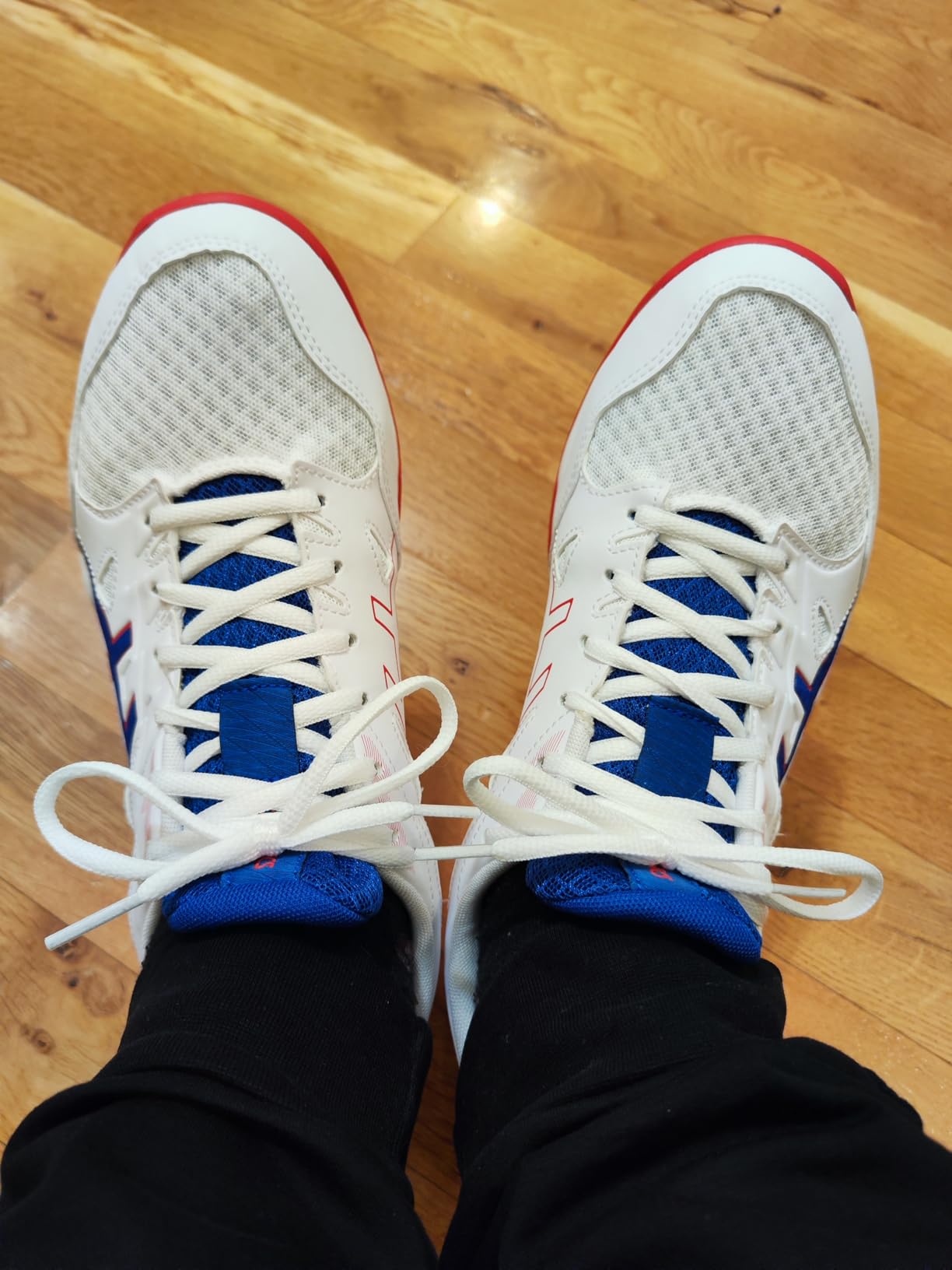 ASICS Men's Gel-Rocket 11 Volleyball Shoes customer photo 2