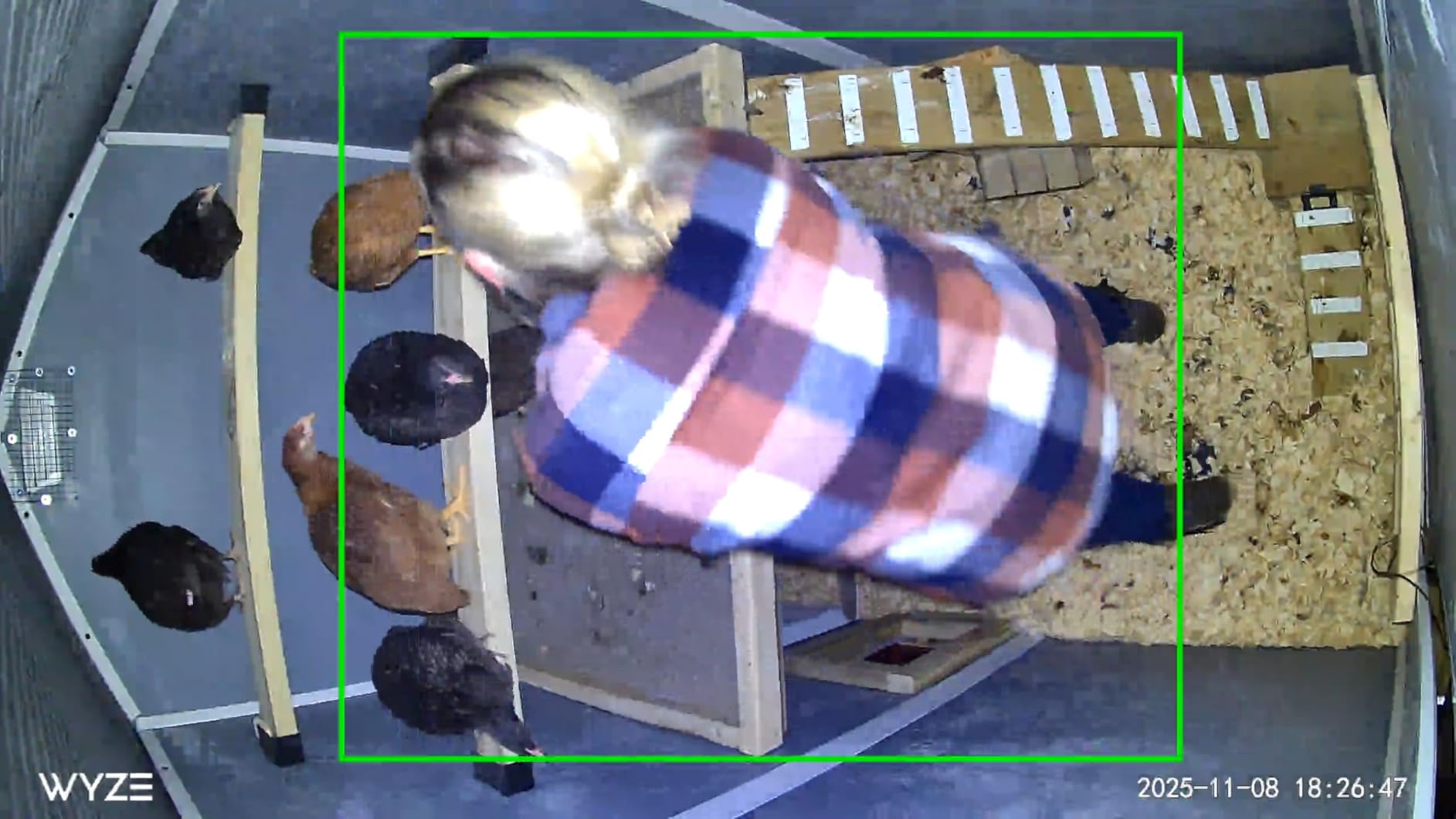 Chicken Coop Door, Solar Powered Automatic with LCD Display, Light Sensor customer photo 1