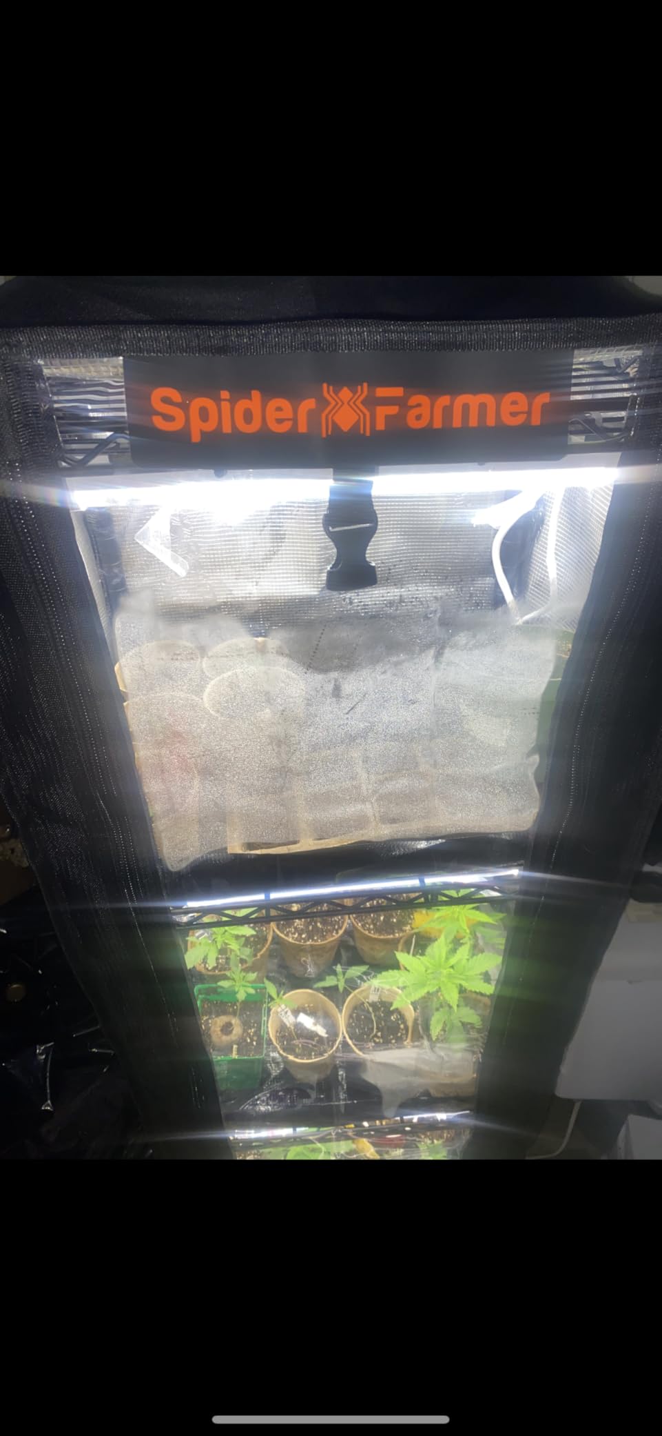 Spider Farmer 6 Tier Plant Shelf with Grow Lights Indoor Greenhouse Tent customer photo 1