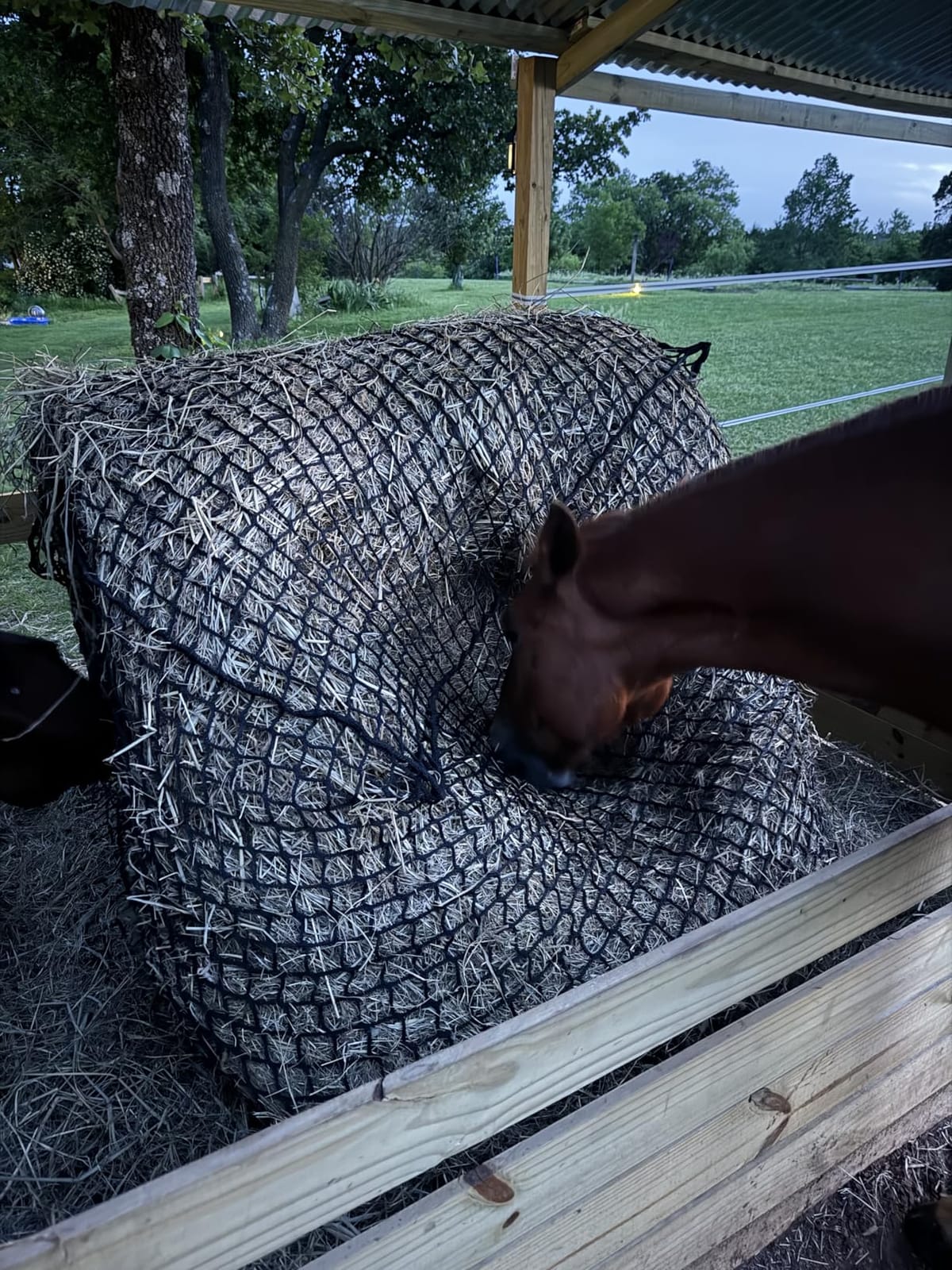 5x5 Ft Knotless Round Bale Hay Net for Horses, Livestock Feeder customer photo 2