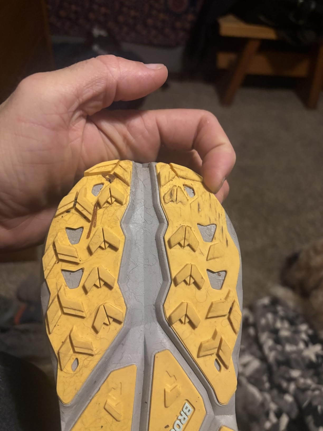 Brooks Men’s Cascadia 19 Mountain Trail Running Shoe customer photo 2