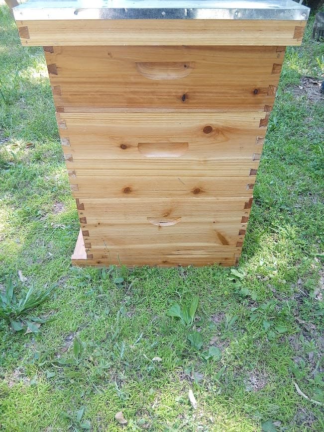 Gold Standard 10 Frame Bee Hive Beeswax Coated Includes Beehive Frames and Foundations (2 Deep Boxes & 1 Medium Box) customer photo 1