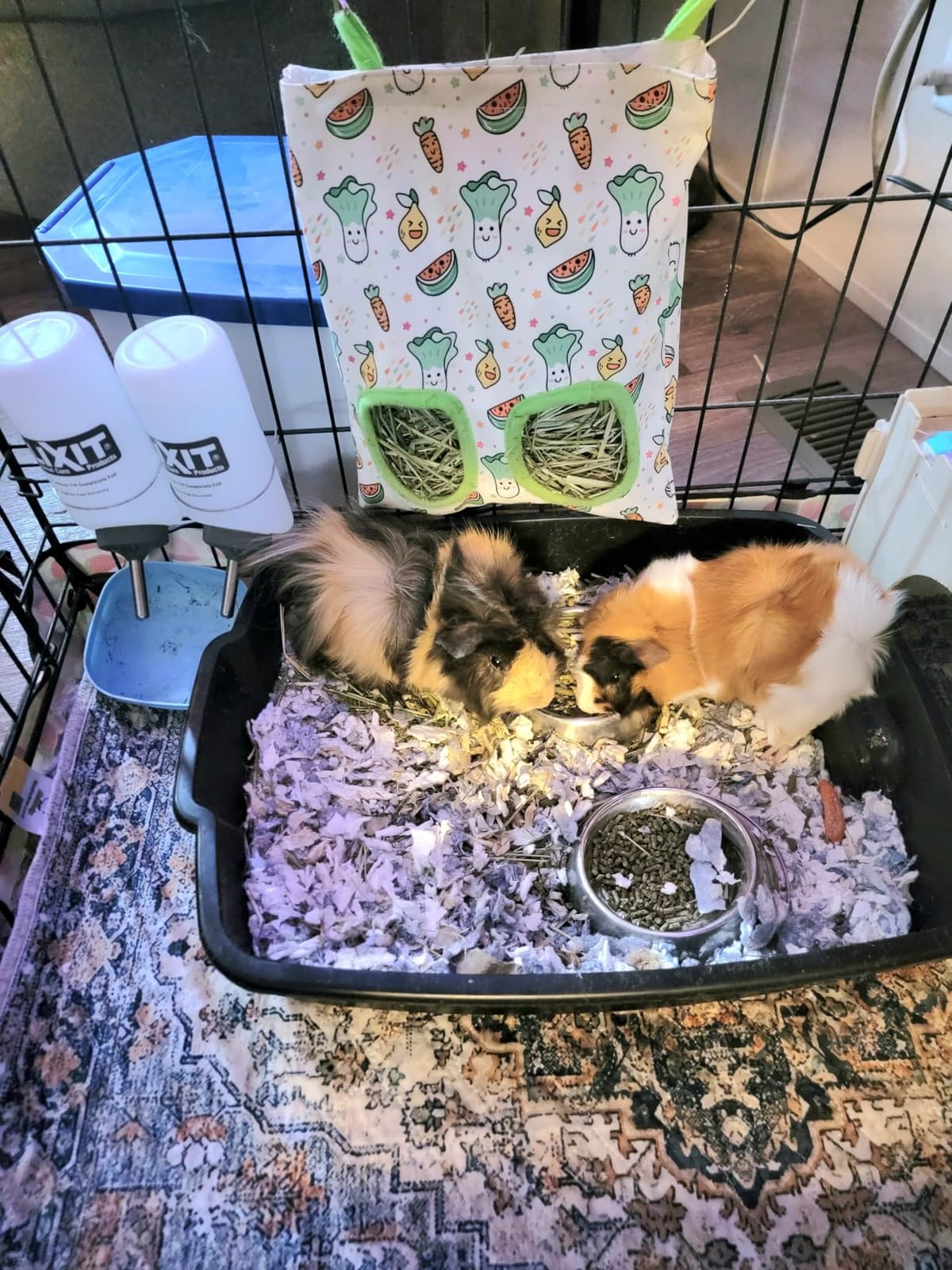 UPINS 2Pack Guinea Pig Hay Feeder Bag,Bunny Rabbit Cage Bag Hanging Holder customer photo 1