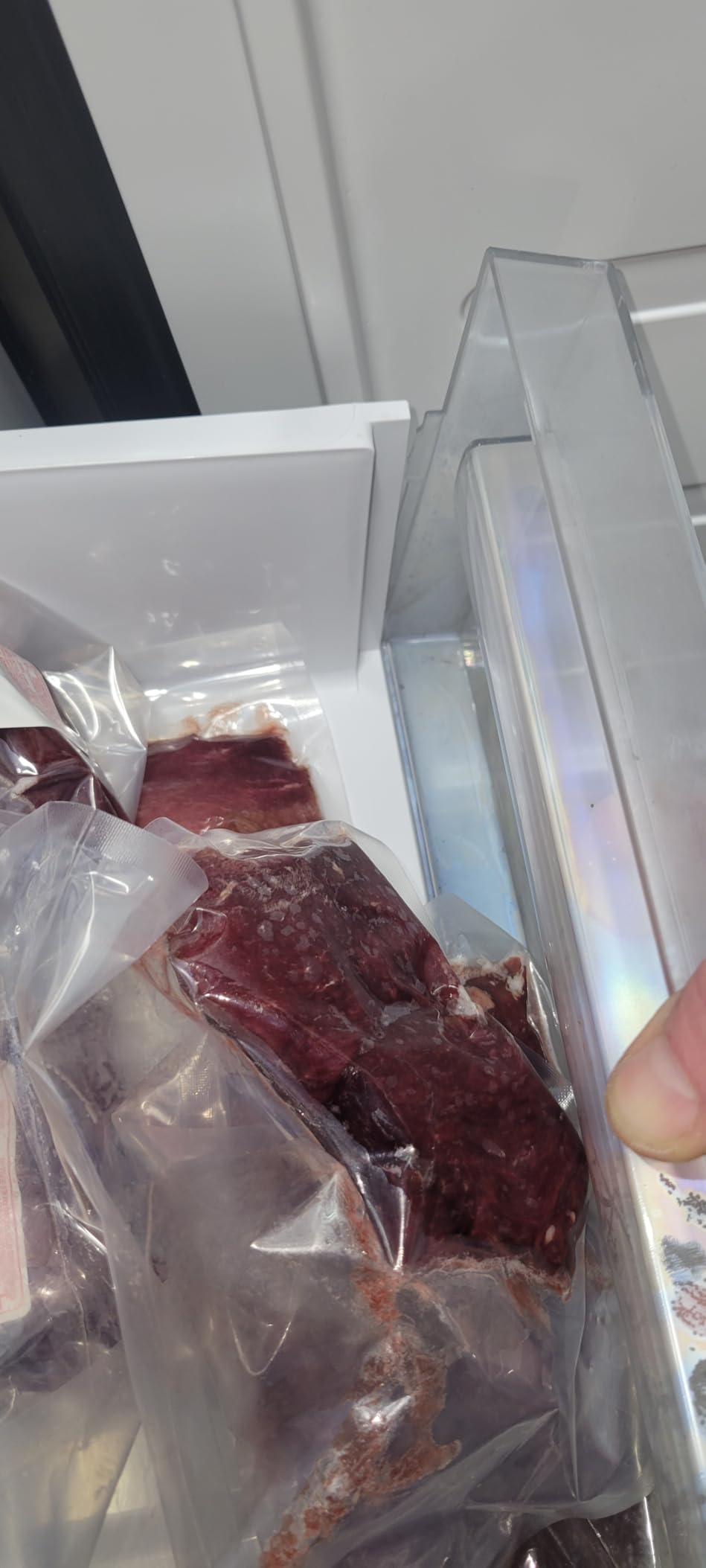 BANGSON 7.0 Cu.ft Upright Freezer, Convertible Freezer/Refrigerator, Silver customer photo 2