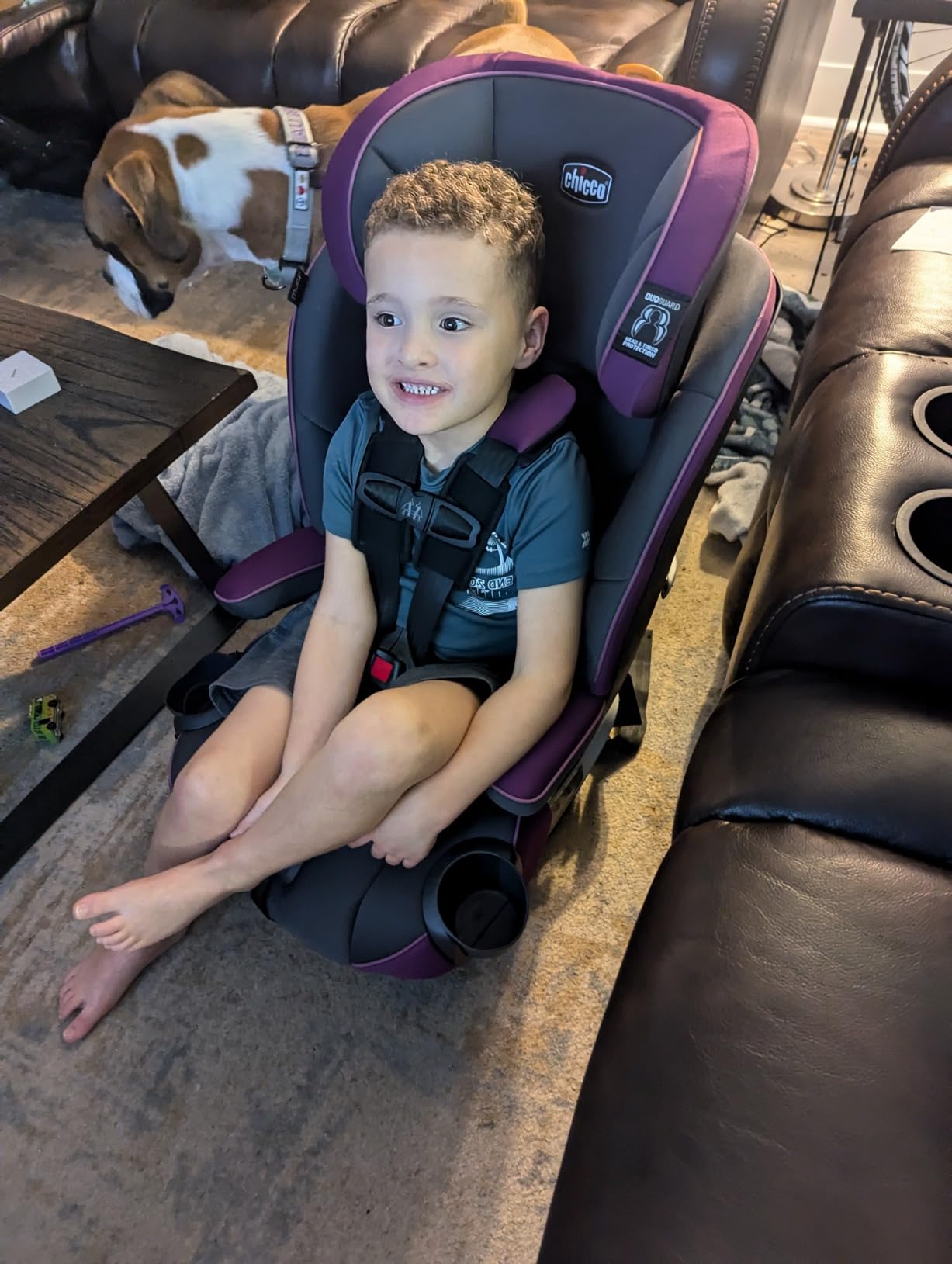 Chicco MyFit 2-in-1 Harness + High Back Booster Car Seat customer photo 2
