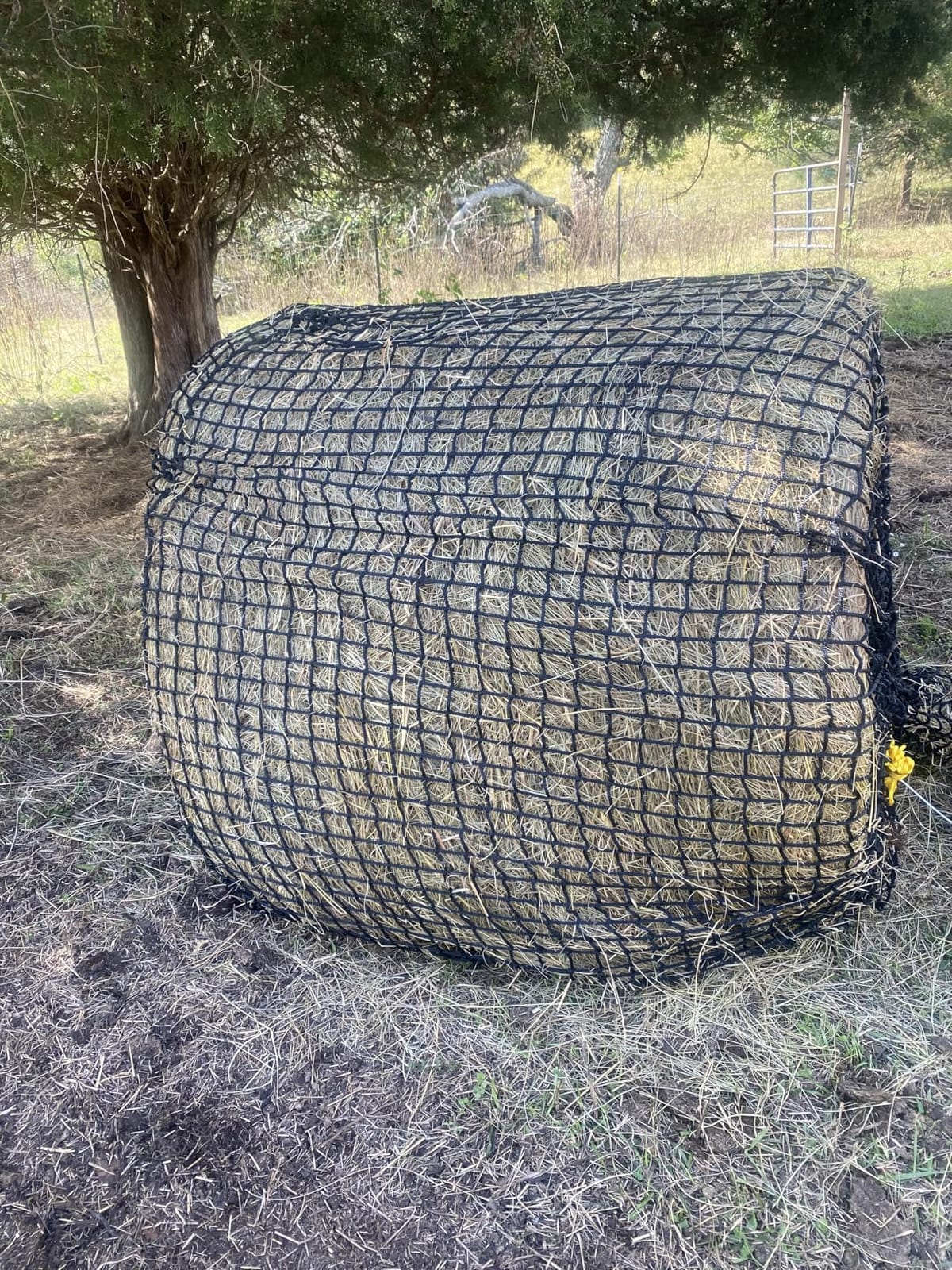 5x5 ft Round Bale Hay Net for Horses & Goats, 1.5