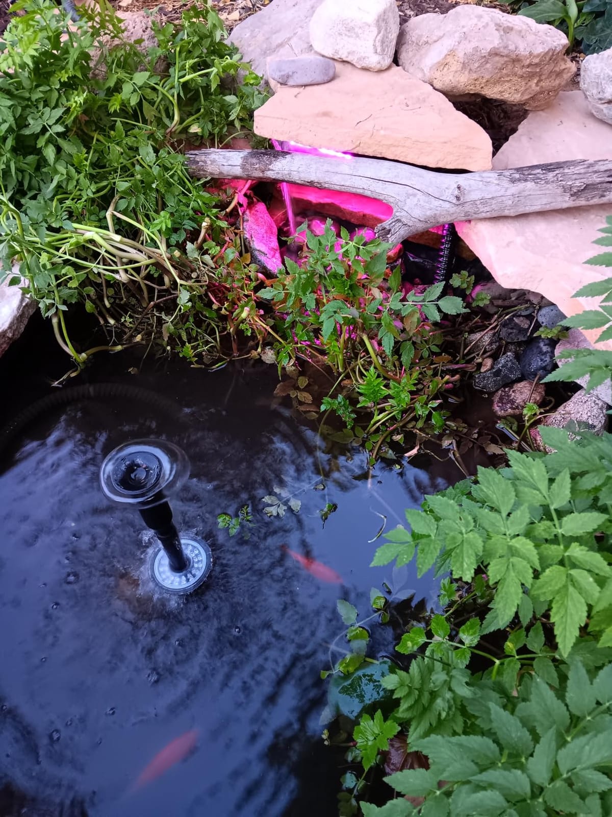 AquaMiracle Pond Waterfall Kit with LED Lights Stainless Steel Spillway customer photo 1