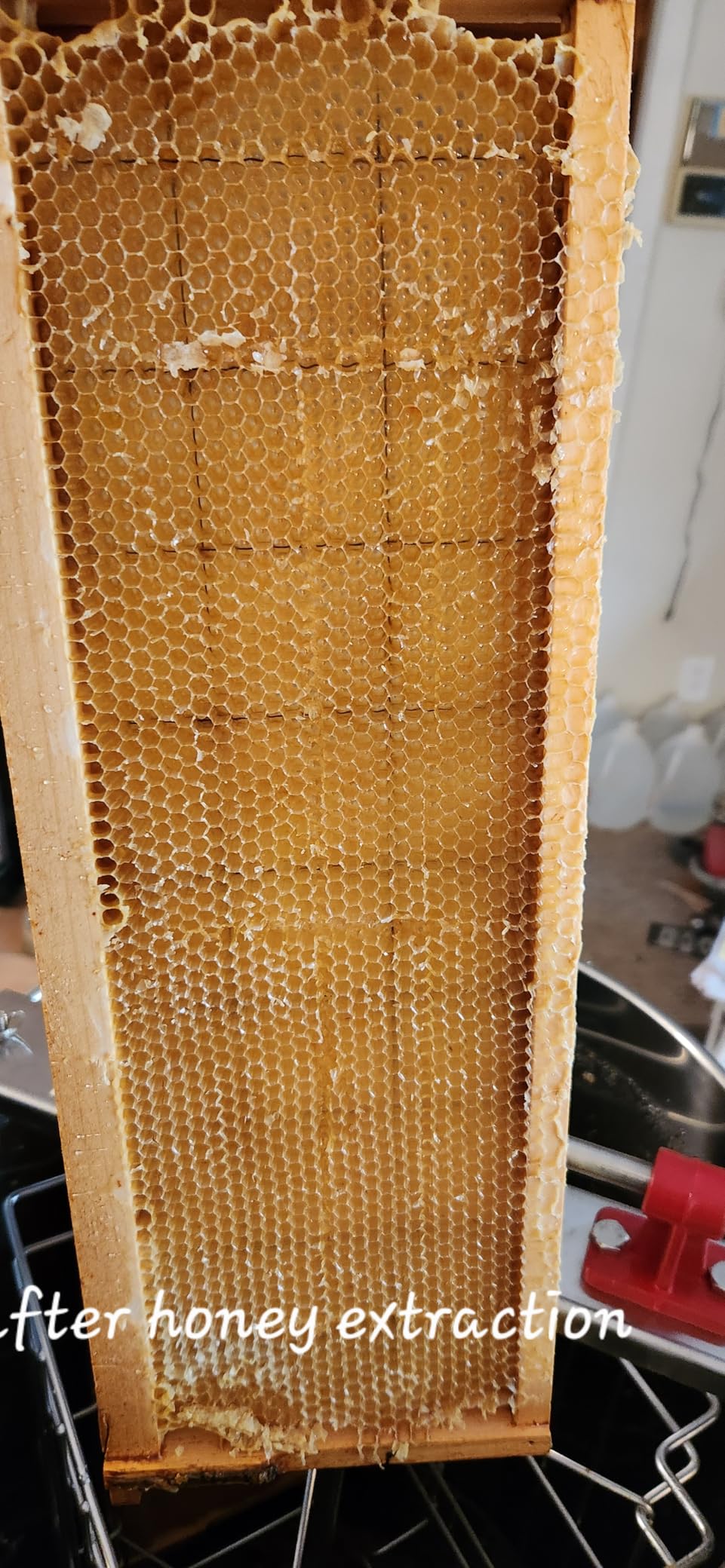VEVOR Honey Extractor, 2 Frame Manual Honey Extractor with Transparent Lid, Stainless Steel Honeycomb Drum Spinner with Height Adjustable Stand,Honeycomb Extraction Centrifuge Equipment for Beekeeping customer photo 1