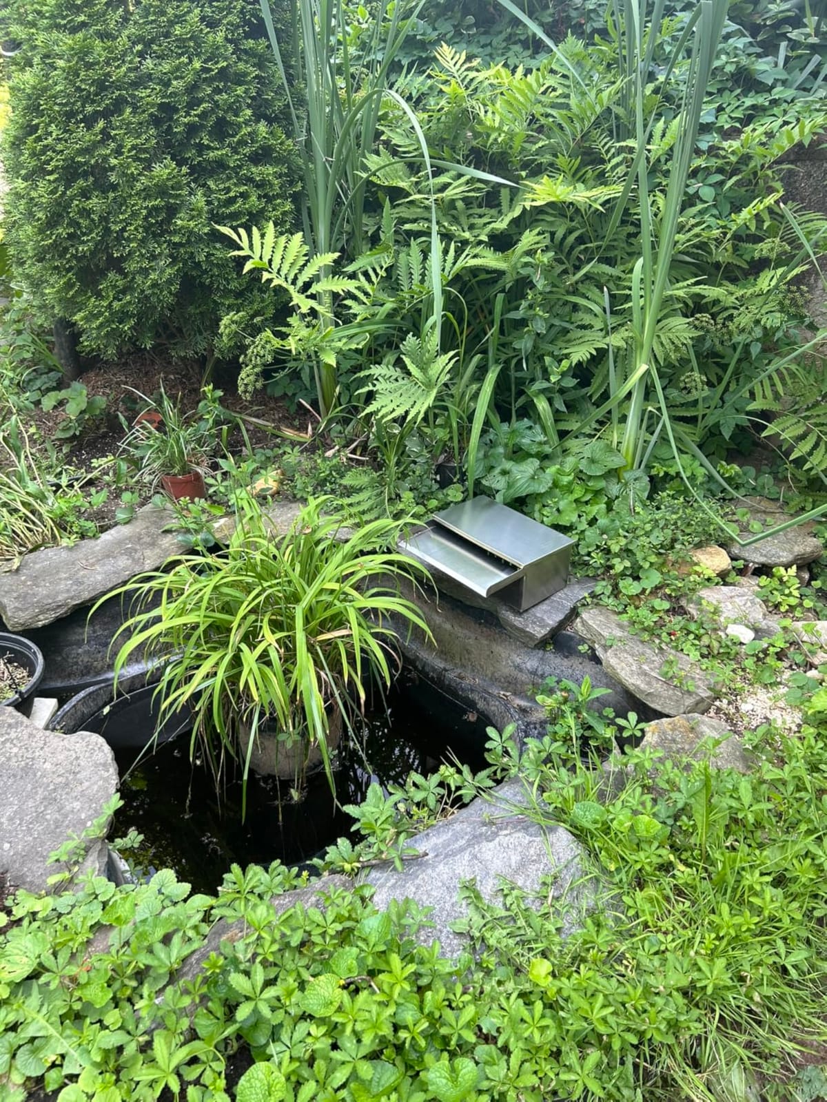 Pond Waterfall Spillway with Filter and Pump Kit - 304 Stainless Steel Ponds Waterfall Box,800 GPH Pump,9.8FT Oxford Hose,Garden Water Features customer photo 1