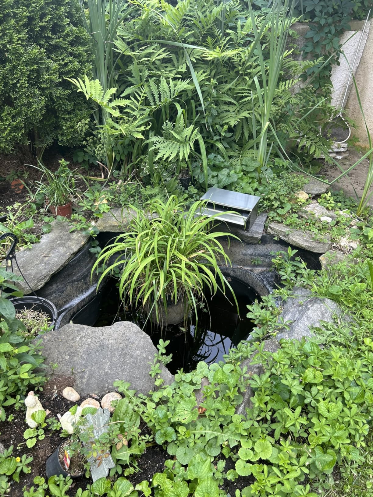 Pond Waterfall Spillway with Filter and Pump Kit - 304 Stainless Steel Ponds Waterfall Box,800 GPH Pump,9.8FT Oxford Hose,Garden Water Features customer photo 2