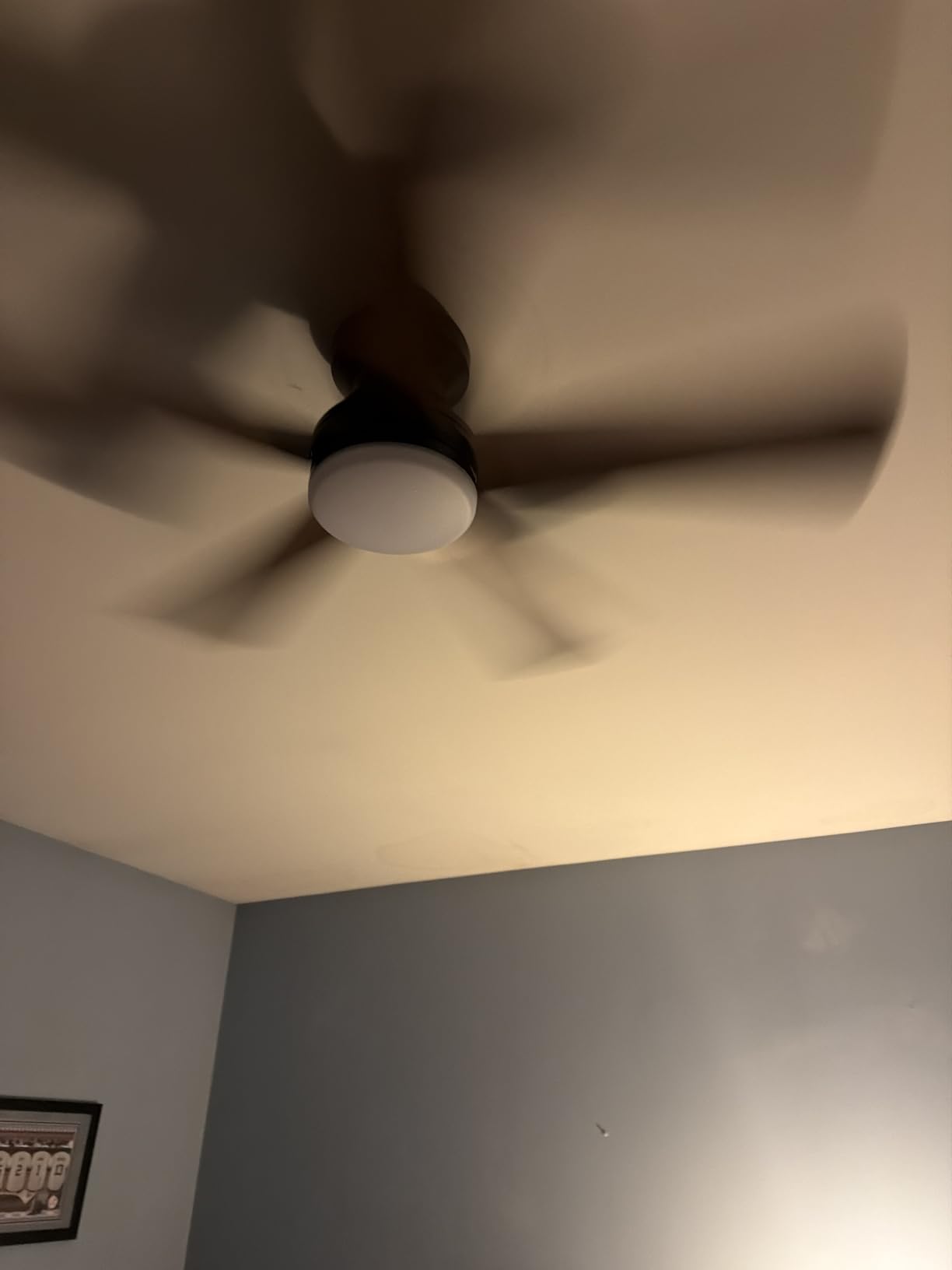 Depuley Modern Ceiling Fan with Light: 42-Inch Black Small Fans for Bedroom Indoor Outdoor - Dimmable Low Profile Ceiling Fans with Remote Control Flush Mount 5 Reversible Black Blades 6 Speeds Timer customer photo 1