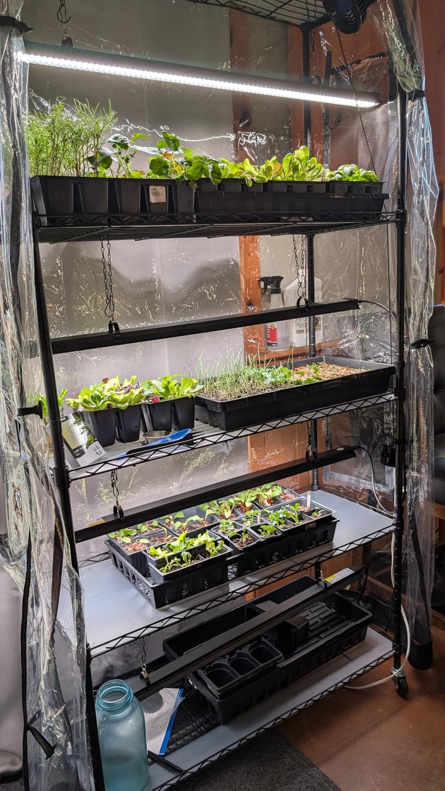 Barrina LP600 Indoor Greenhouse with Grow Light, 5 Tier Stand with Tent customer photo 1