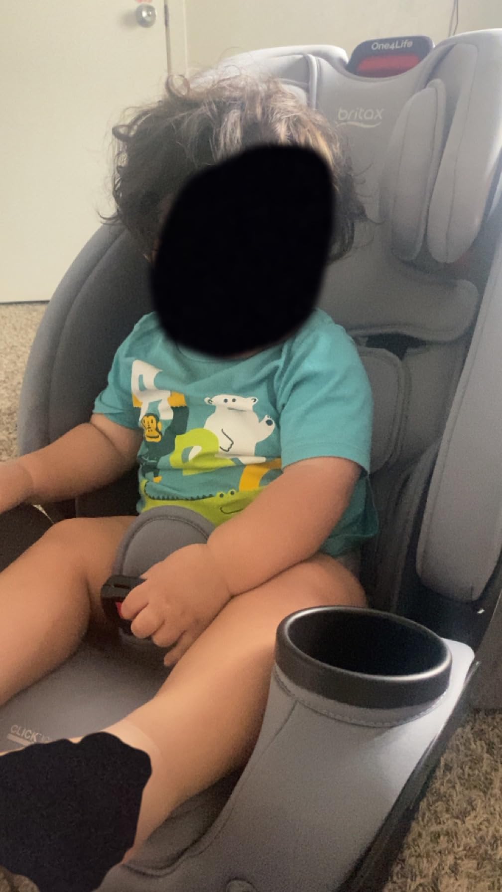 Britax One4Life All in One Car Seat, Up to 10 Years of Use — Teak customer photo 2