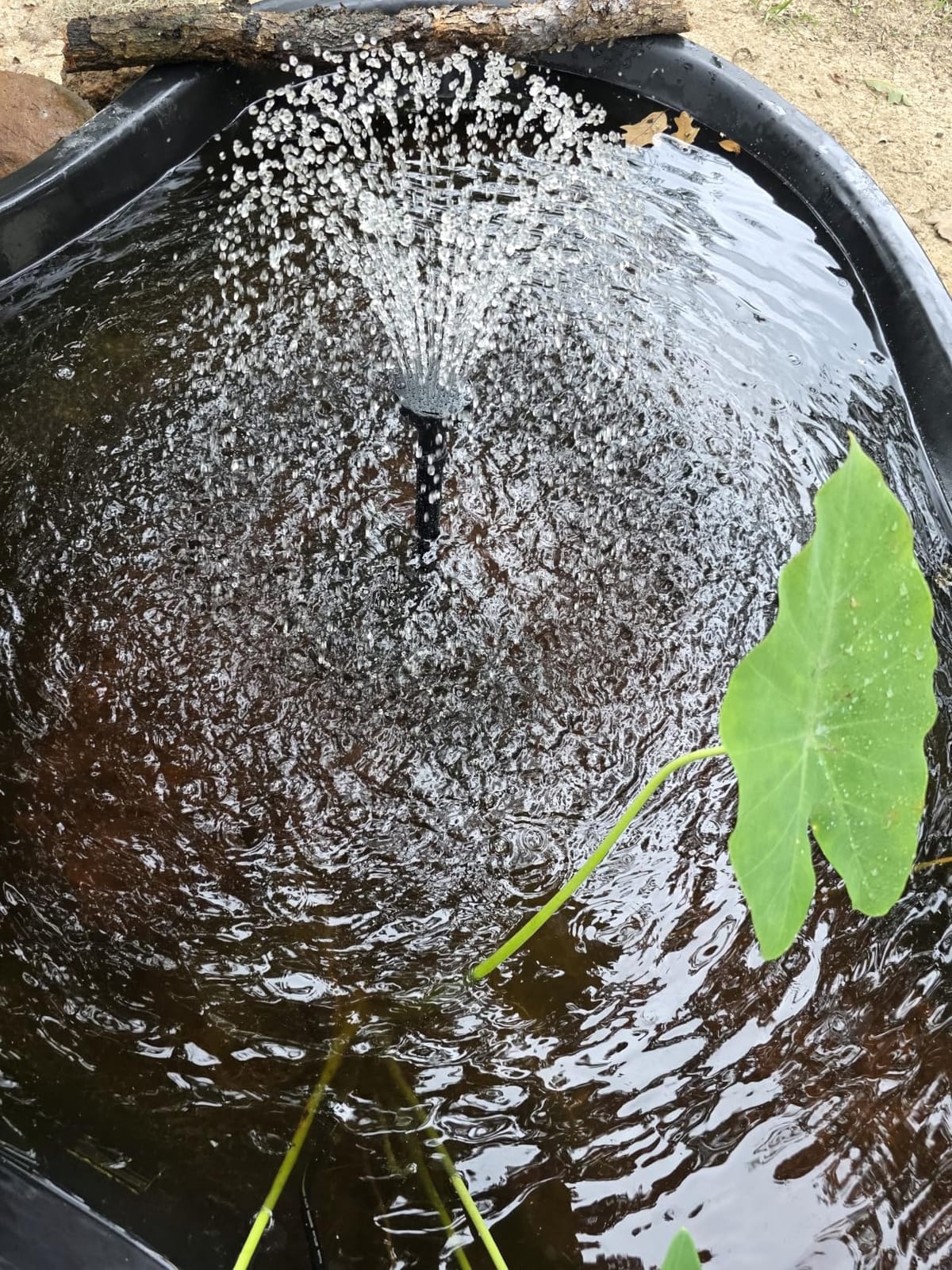 All-in-1 Pond Waterfall Kit with LED Light, 12 in Stainless Steel Spillway customer photo 1