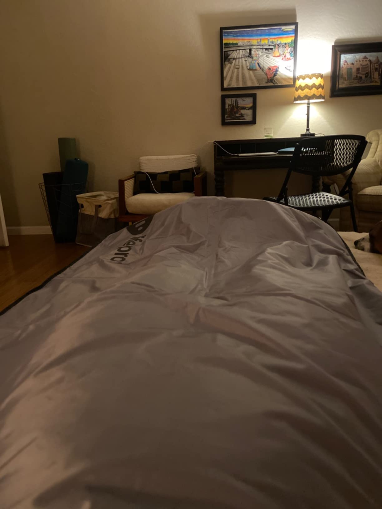 Lifepro BioRemedy Infrared Sauna Blanket for Home Relaxation Detox customer photo 2