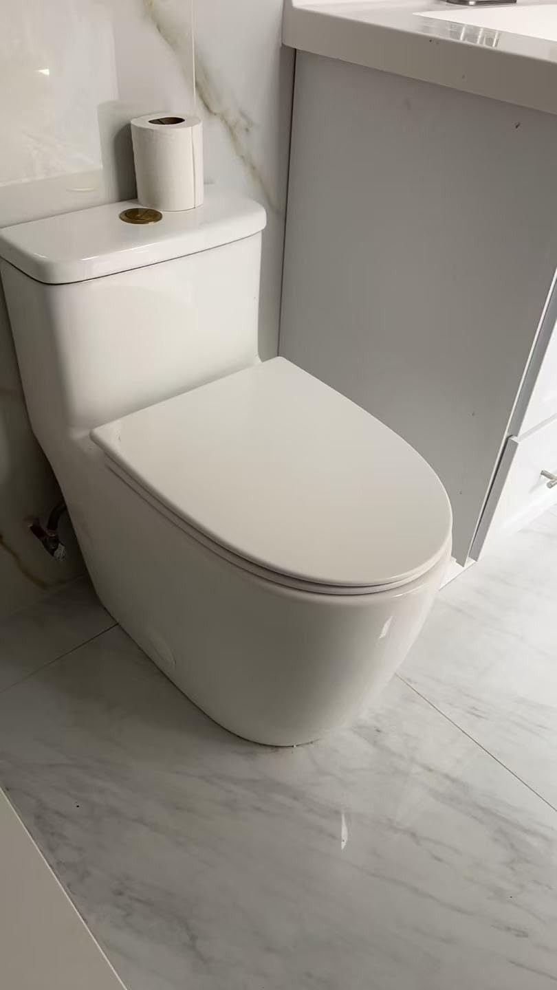 Casta Diva One Piece Toilet Elongated with 17.5