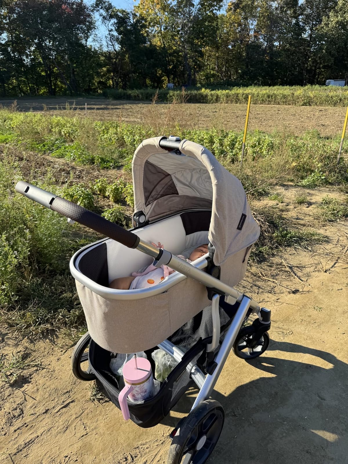 UPPAbaby Vista V3 Convertible Single-to-Double Stroller - Ada customer photo 1
