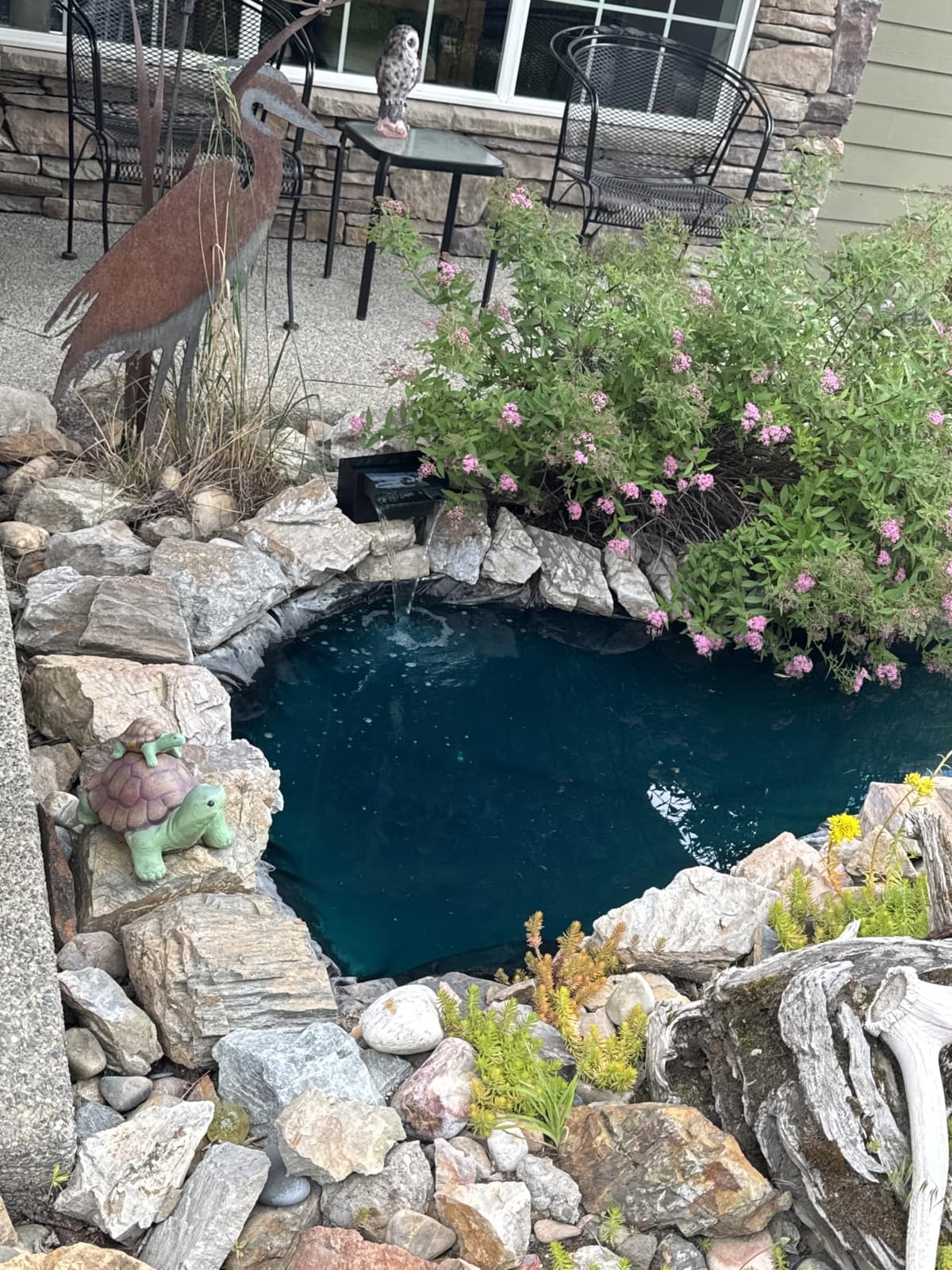 AquaMiracle 4-Stage Filtration Pond Waterfall Kit with Remote LED Light customer photo 1