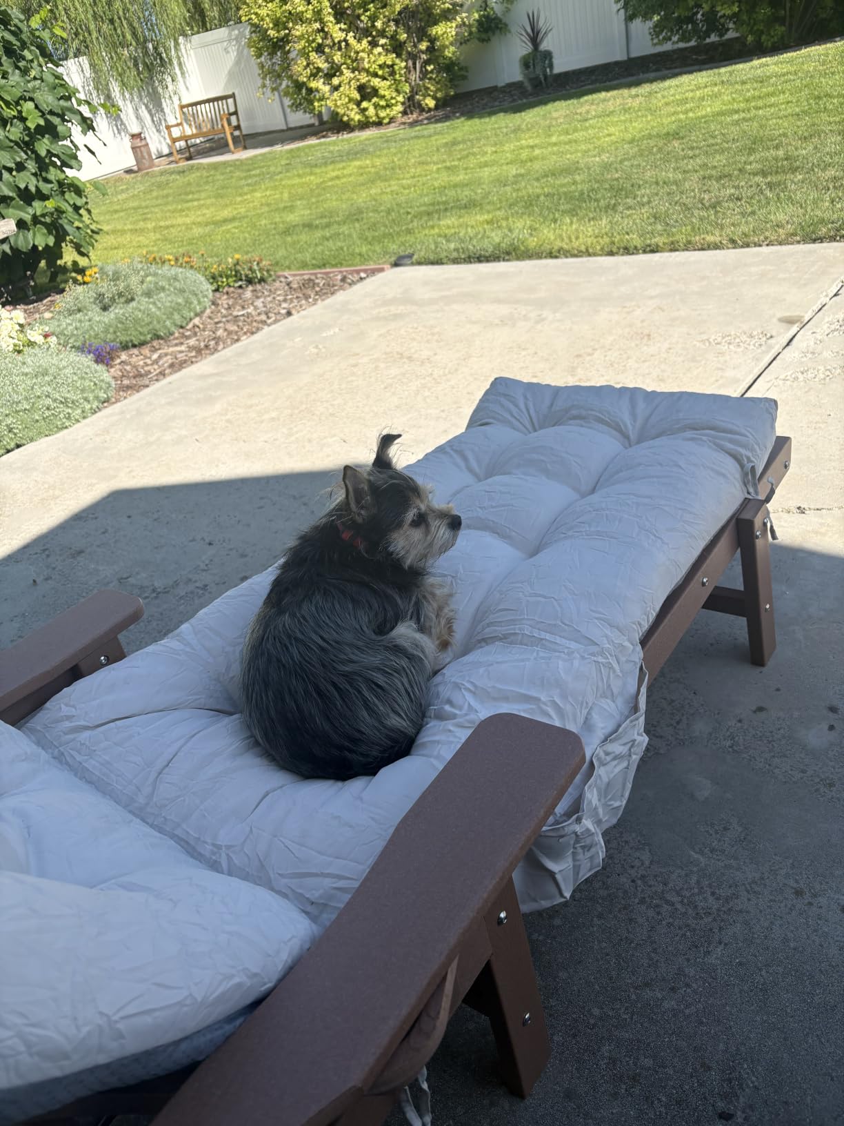THOEOE Outdoor Chaise Lounge Chair, HDPE Pool Lounge Chair, White customer photo 1